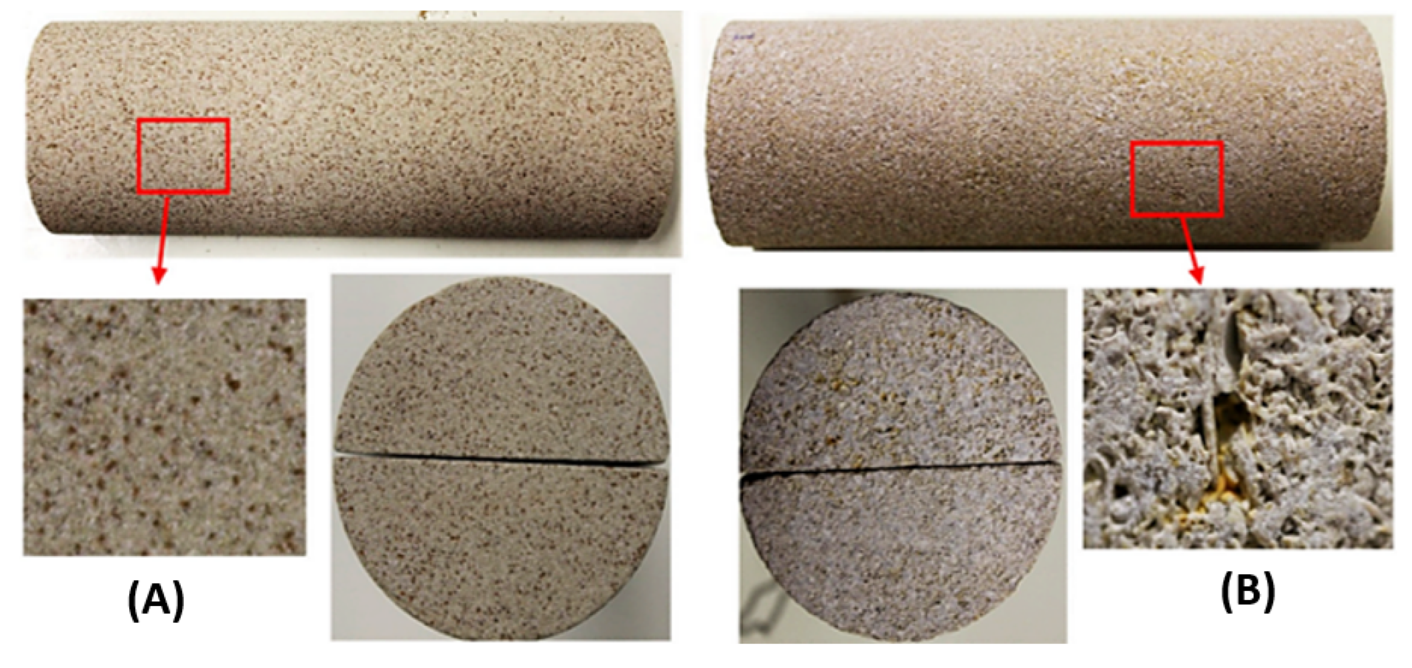 Polymers 14 02001 g005 550