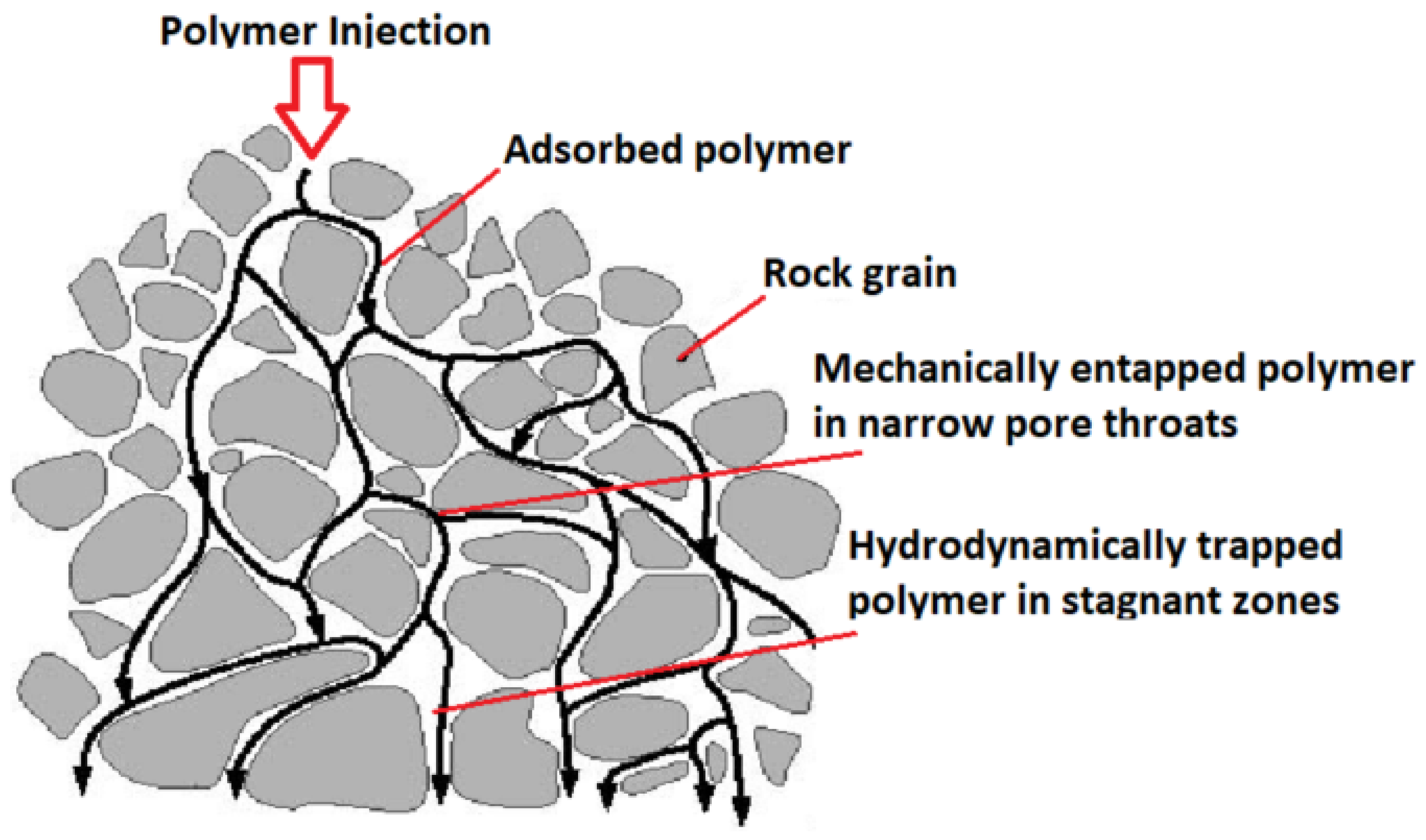 Polymers 14 02001 g007 550
