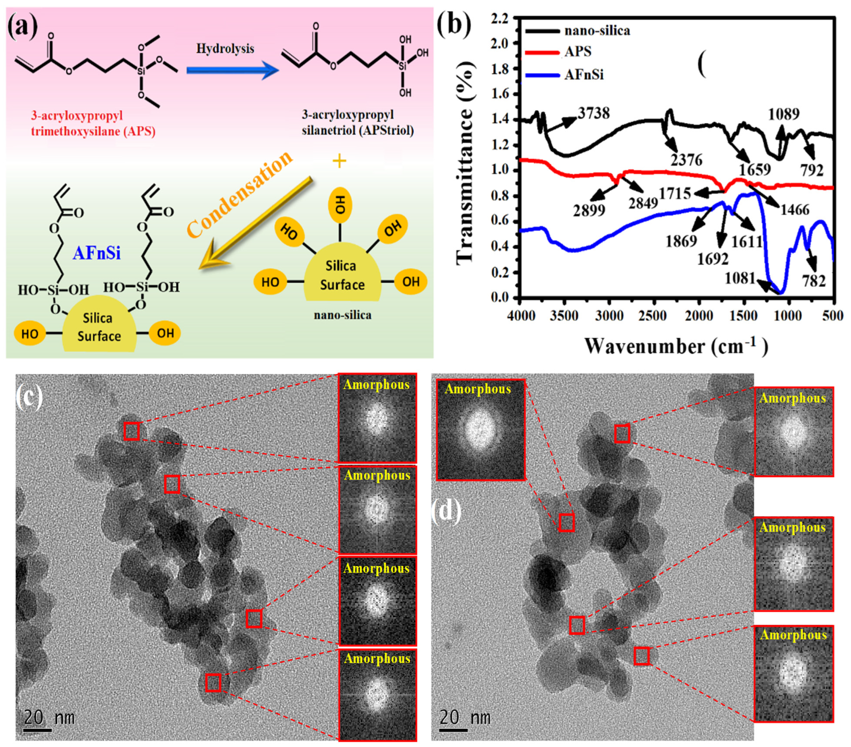Polymers 14 02003 g004 550