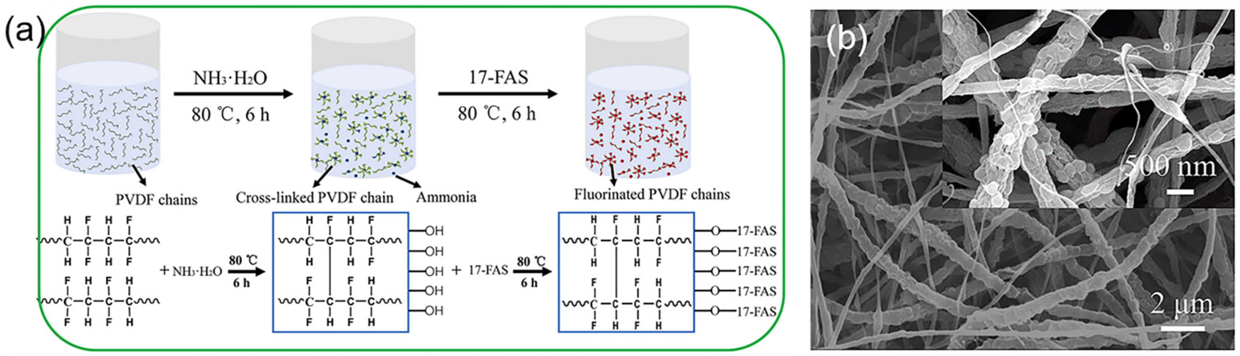 Polymers 14 02004 g003