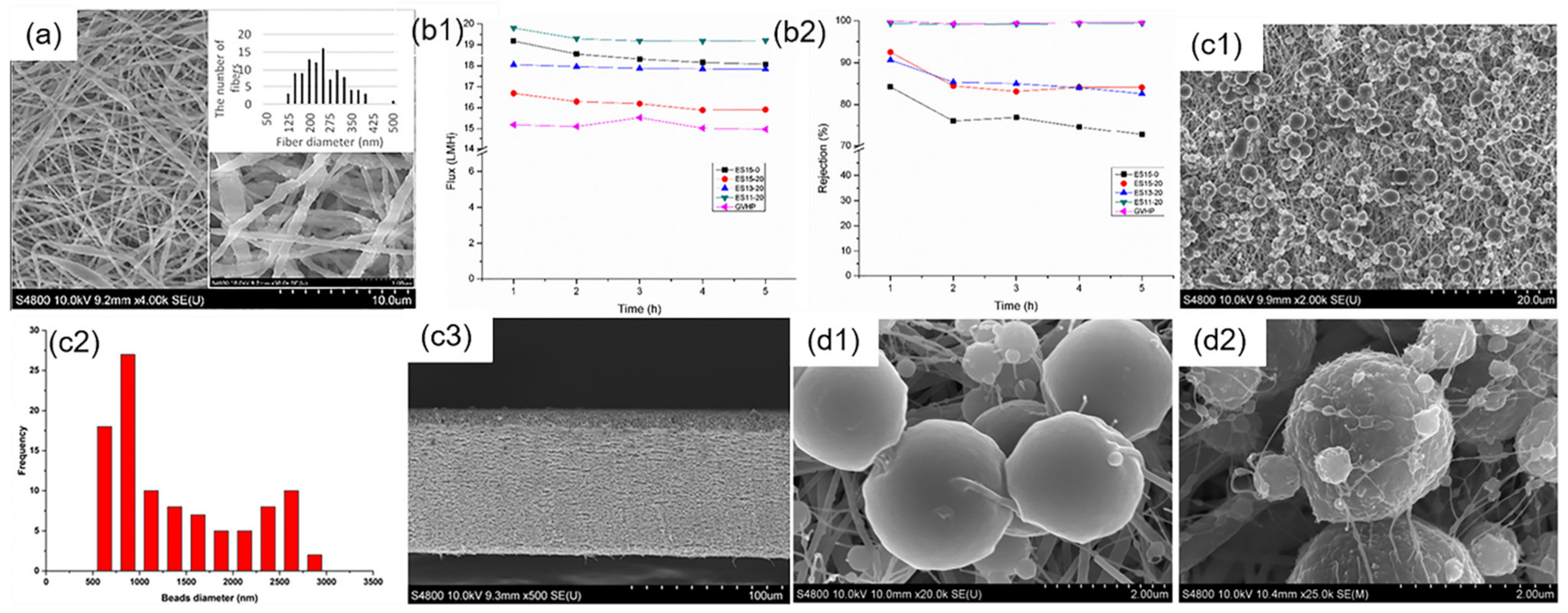 Polymers 14 02004 g005