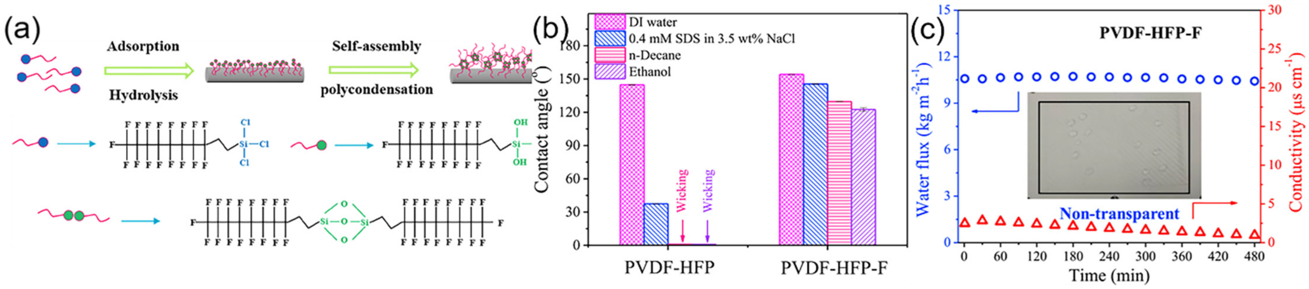 Polymers 14 02004 g007