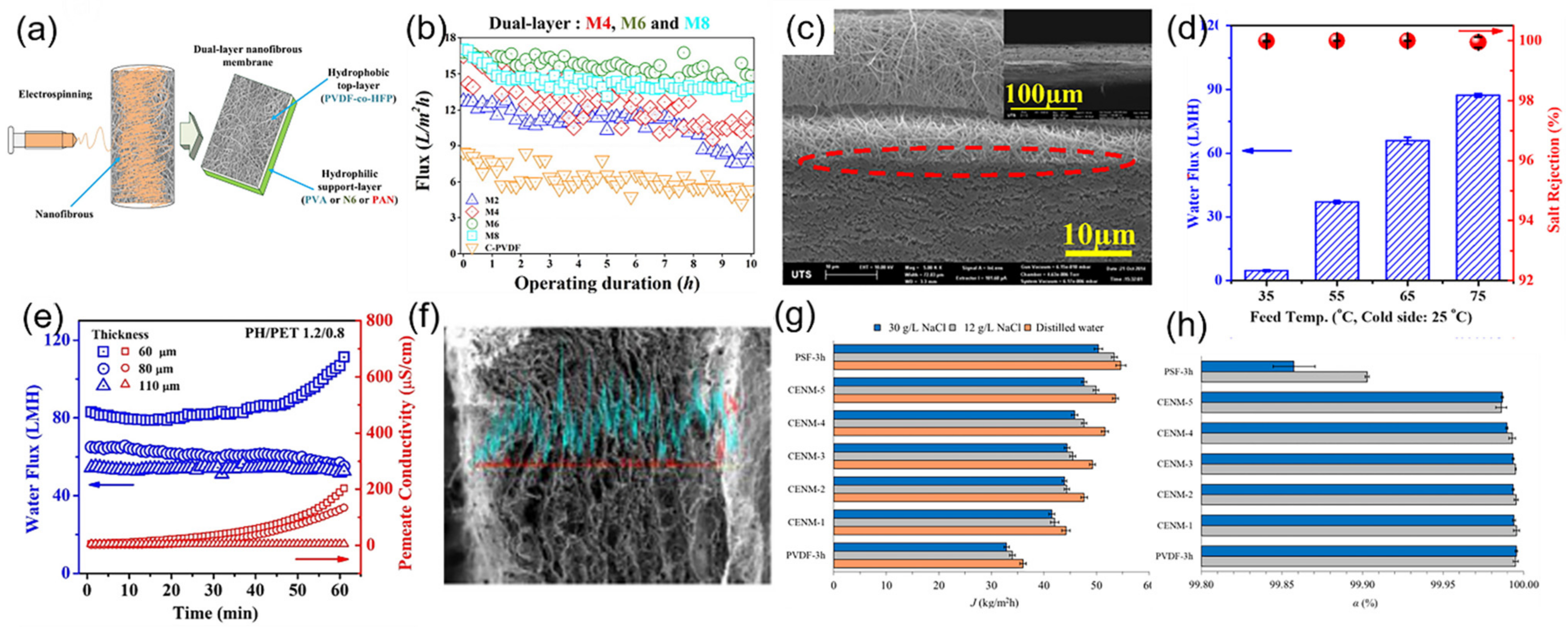 Polymers 14 02004 g008
