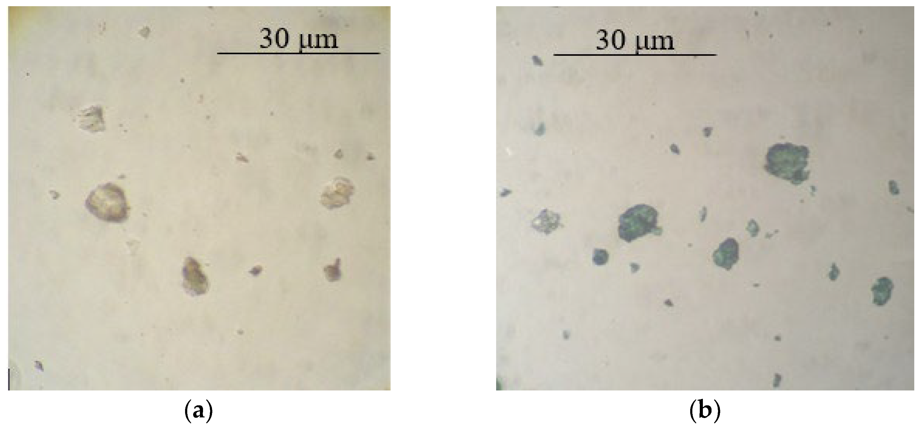 Polymers 14 02005 g001 Polymers 14 02005 g001