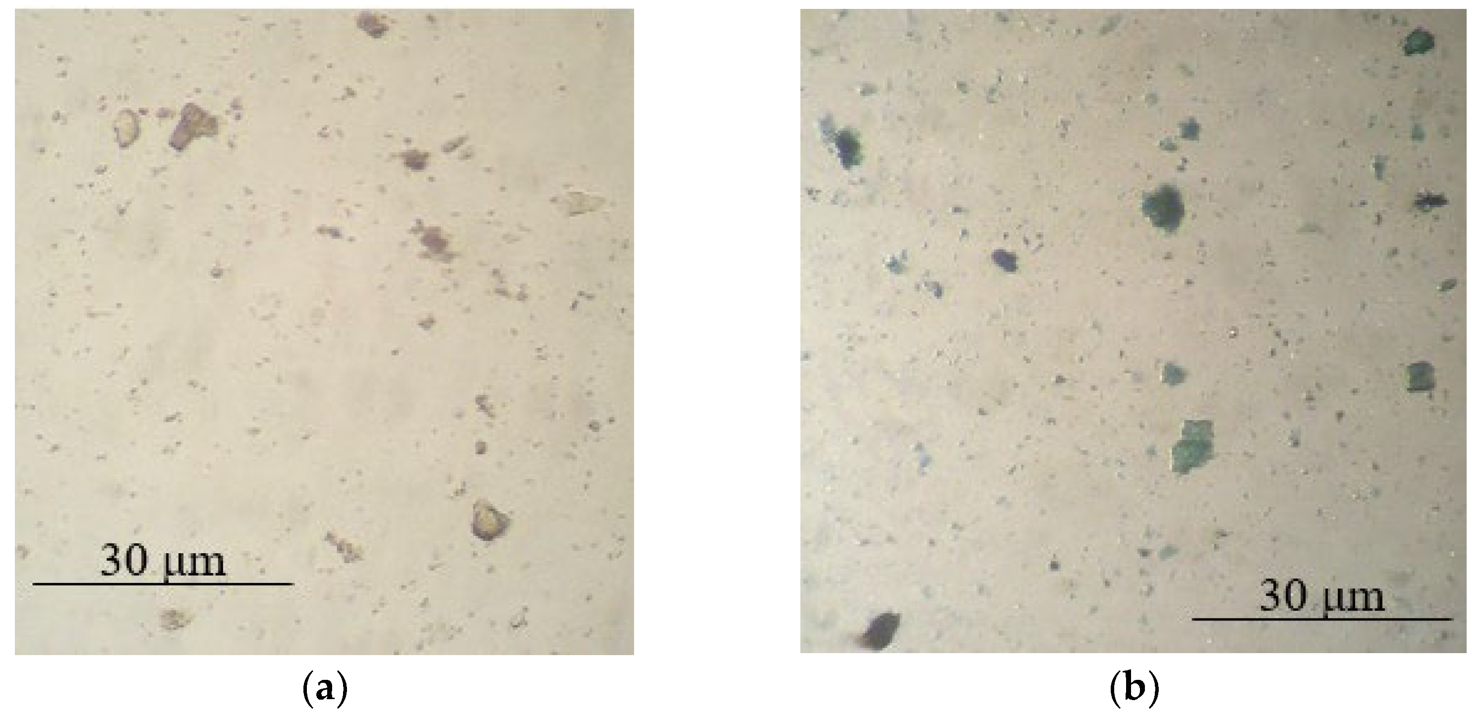 Polymers 14 02005 g002 Polymers 14 02005 g002