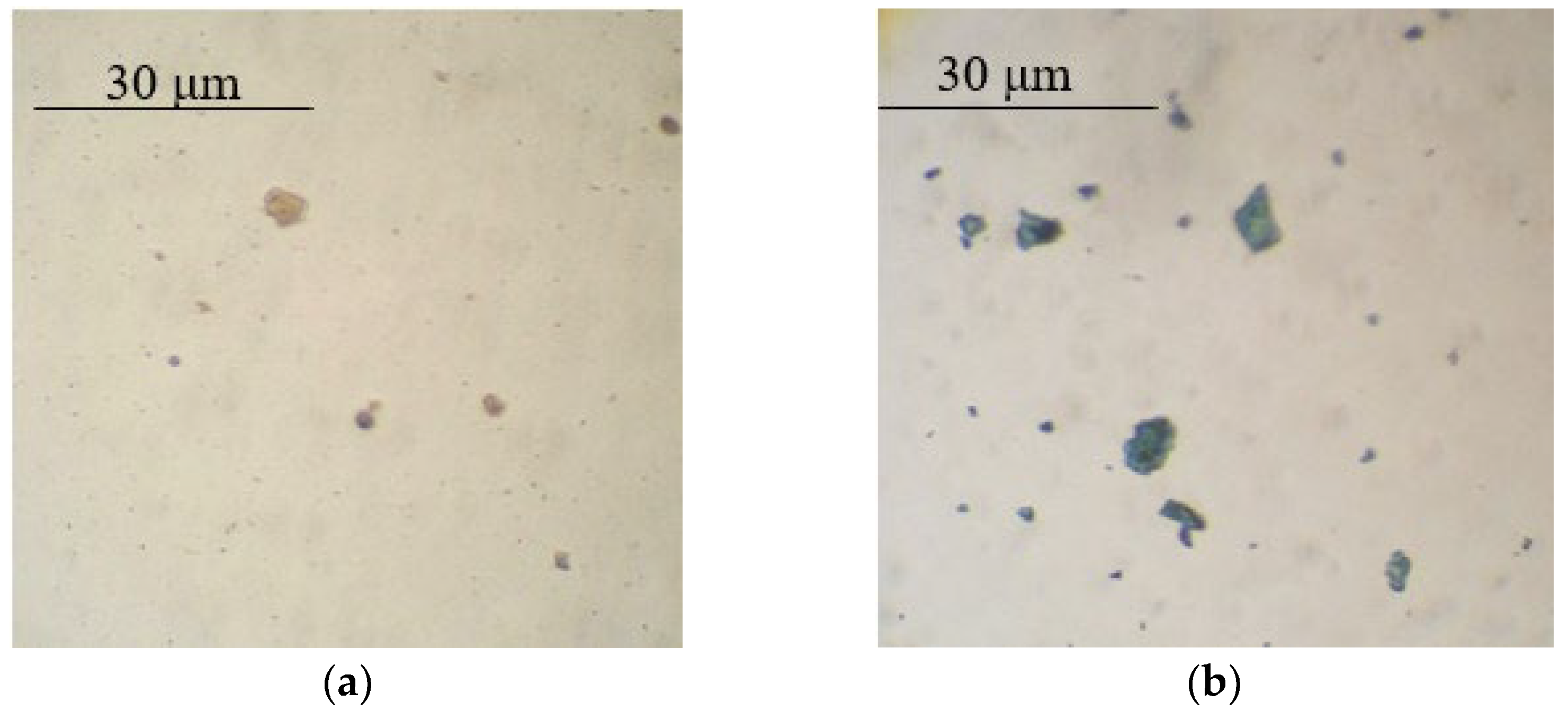 Polymers 14 02005 g003 Polymers 14 02005 g003