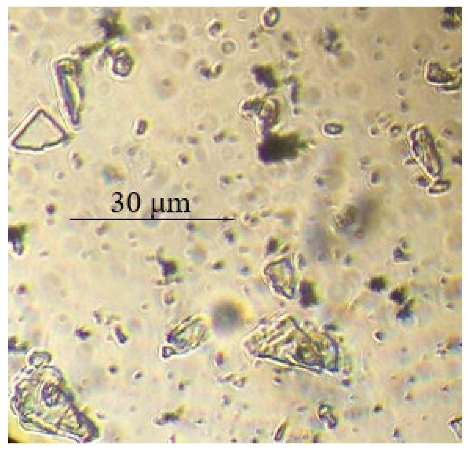 Polymers 14 02005 g004 Polymers 14 02005 g004