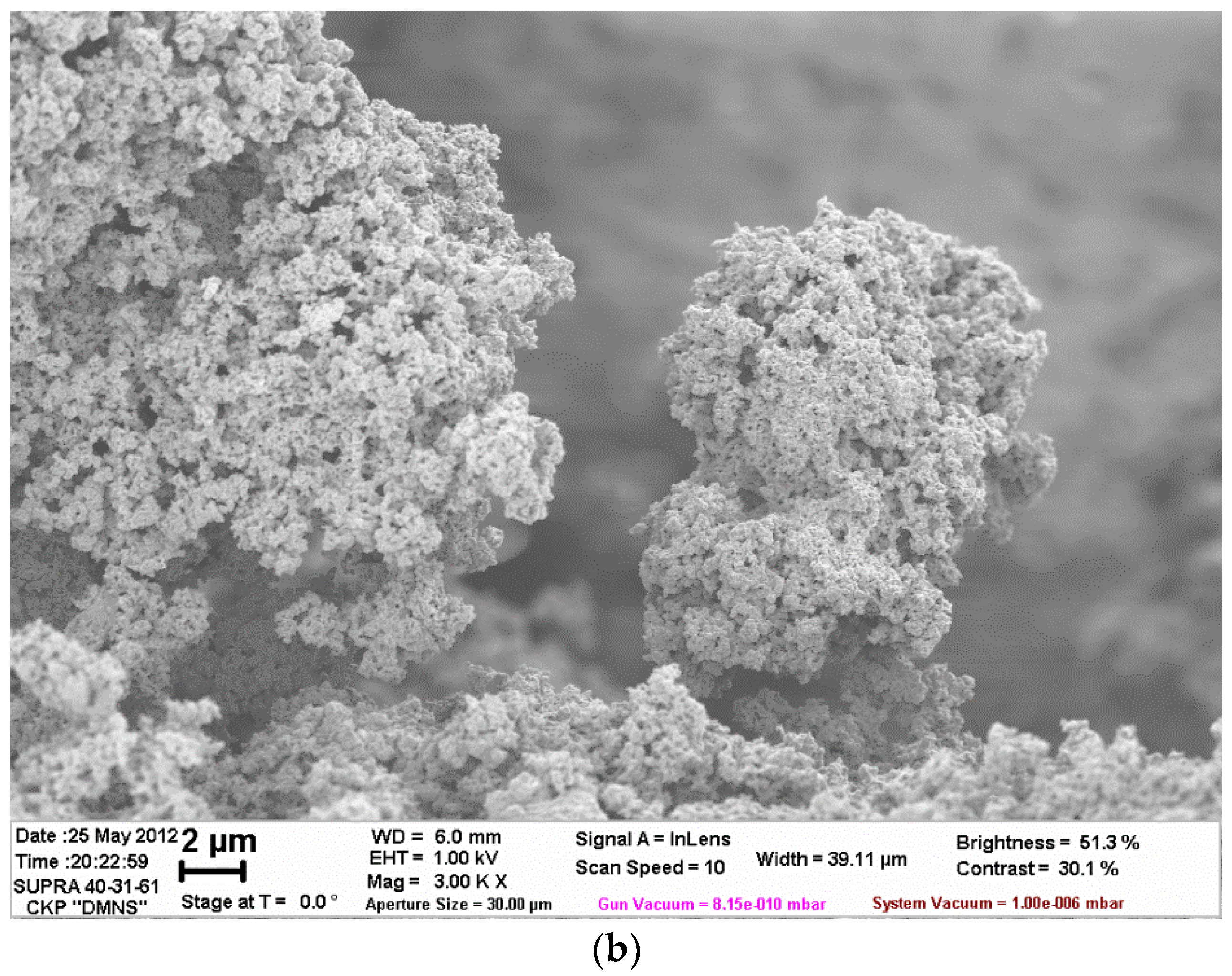 Polymers 14 02005 g005b Polymers 14 02005 g005b