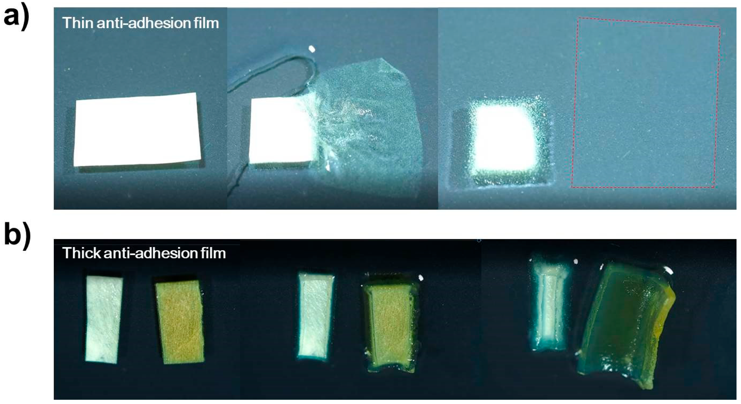 Polymers 14 02008 g002 550