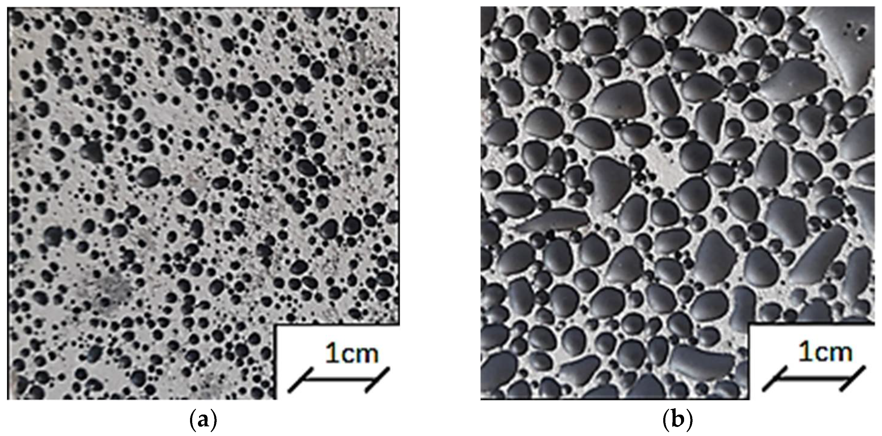 Polymers 14 02009 g002