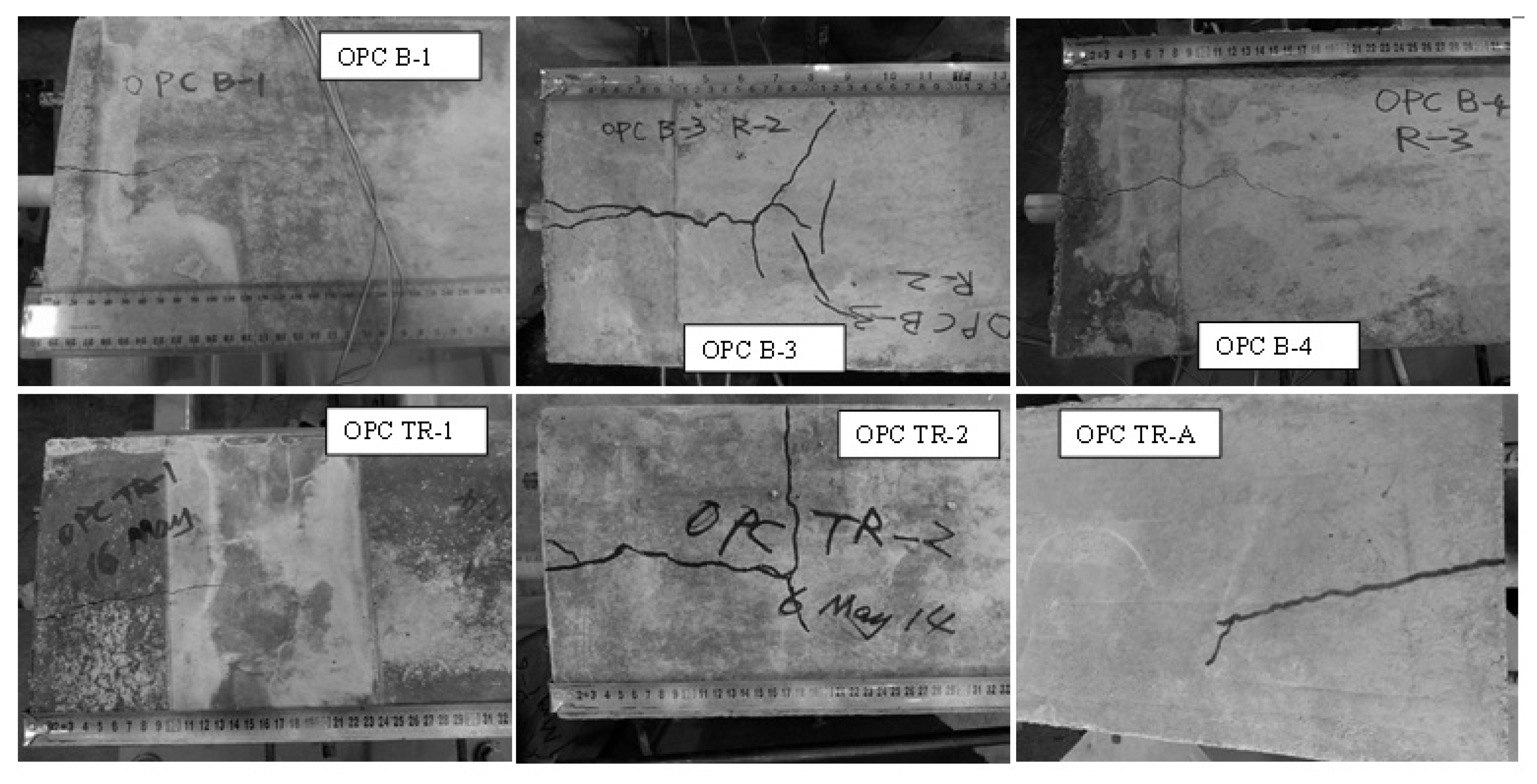 Polymers 14 02012 g008 550