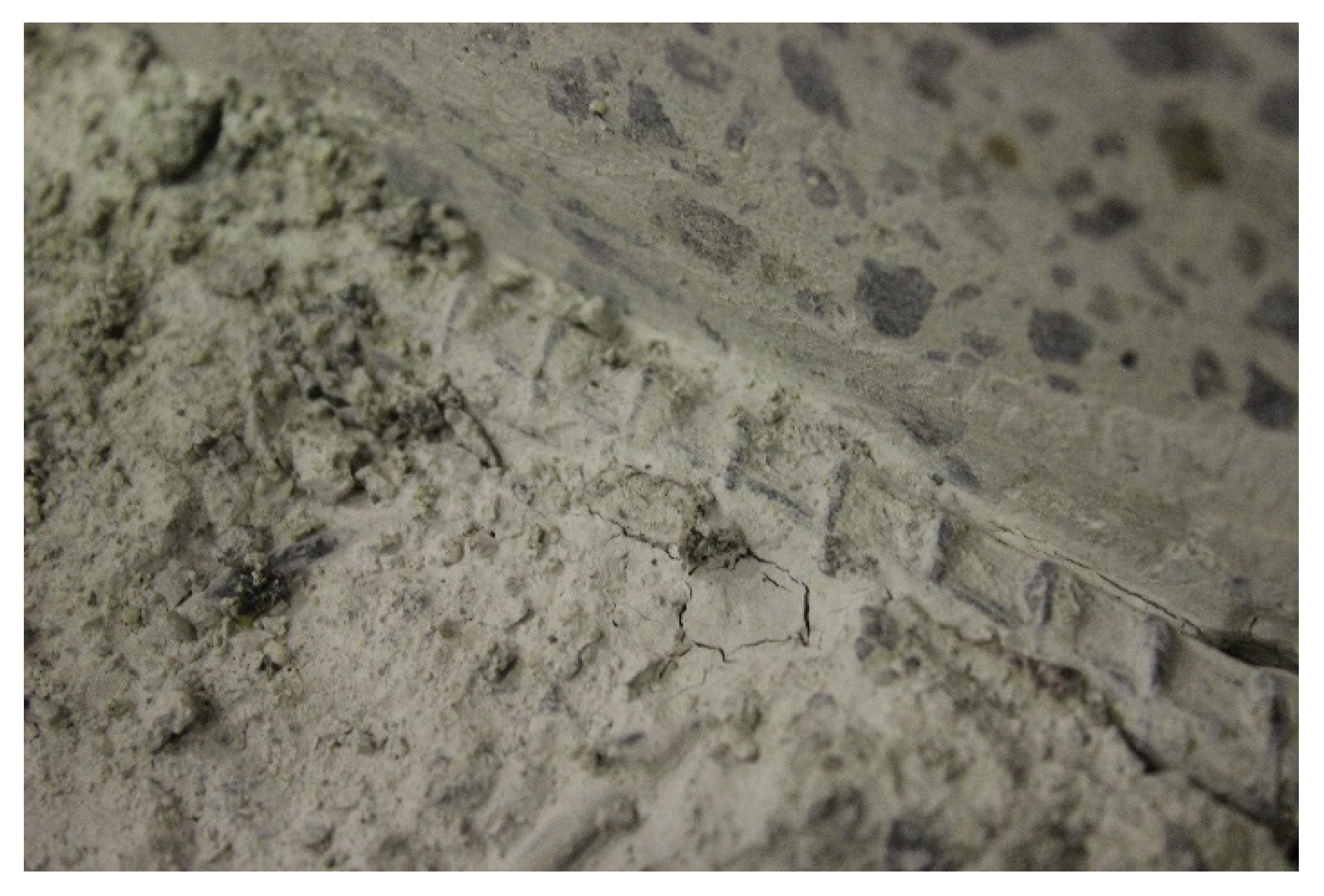 Polymers 14 02012 g011 550