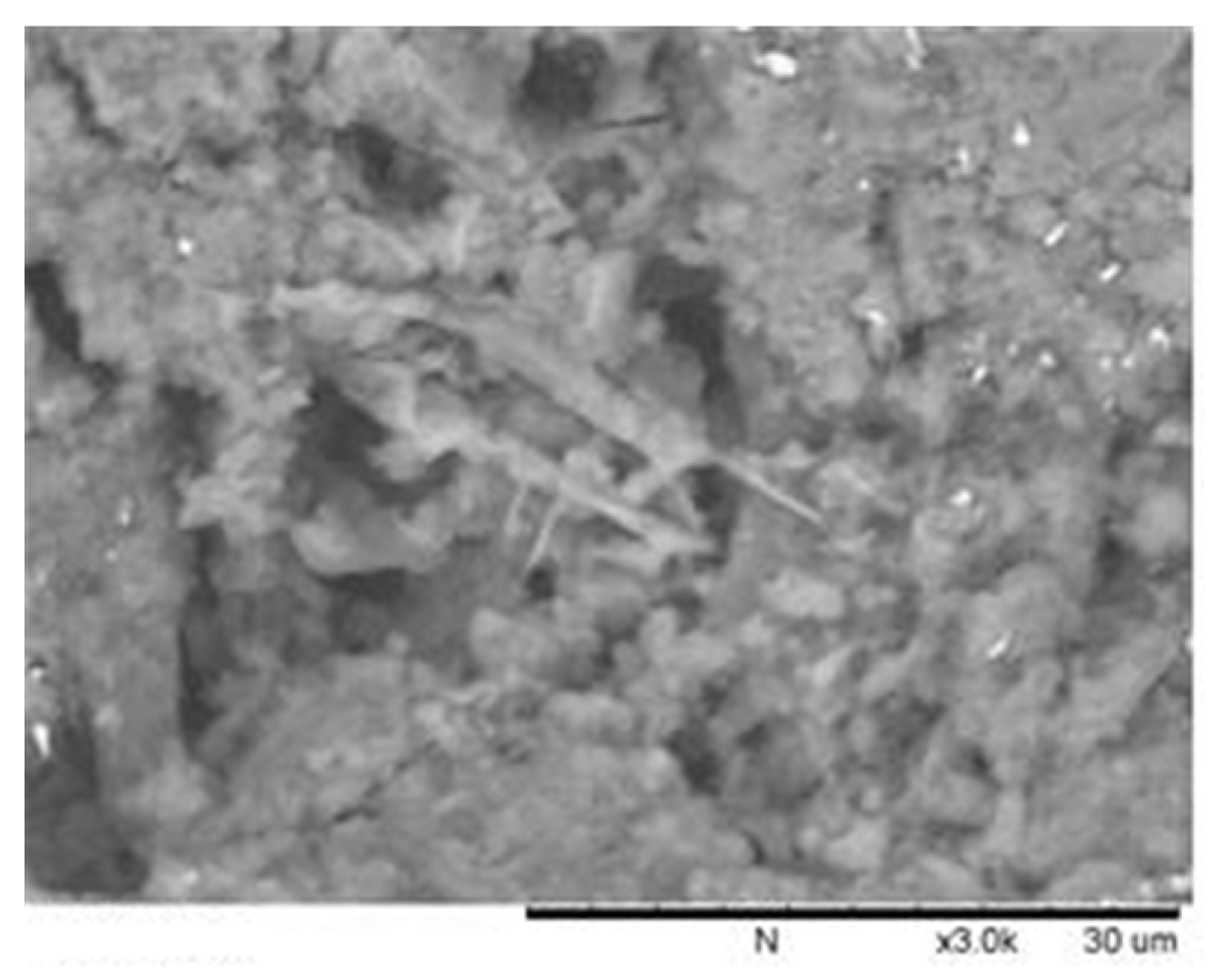 Polymers 14 02012 g012 550