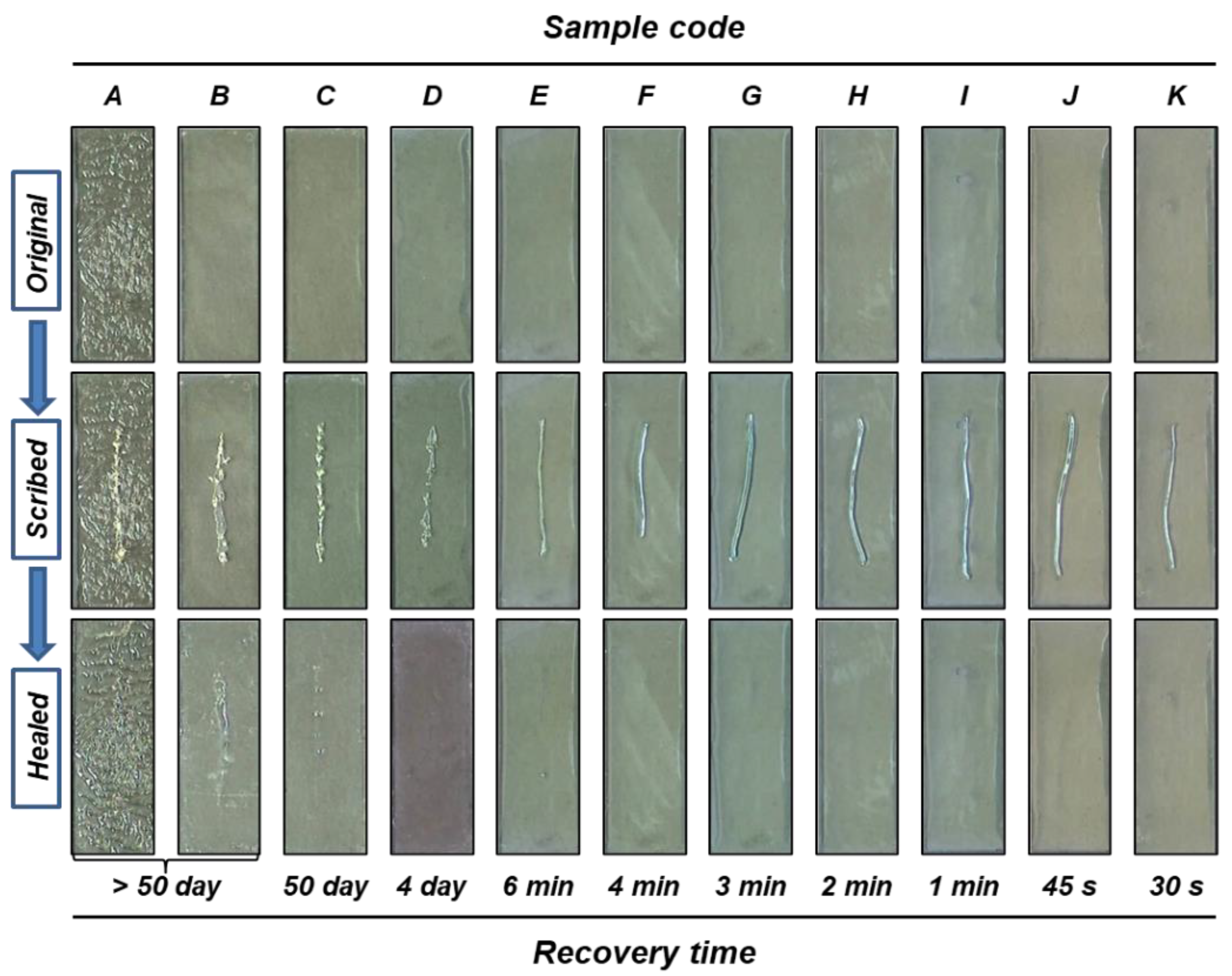 Polymers 14 02013 g002