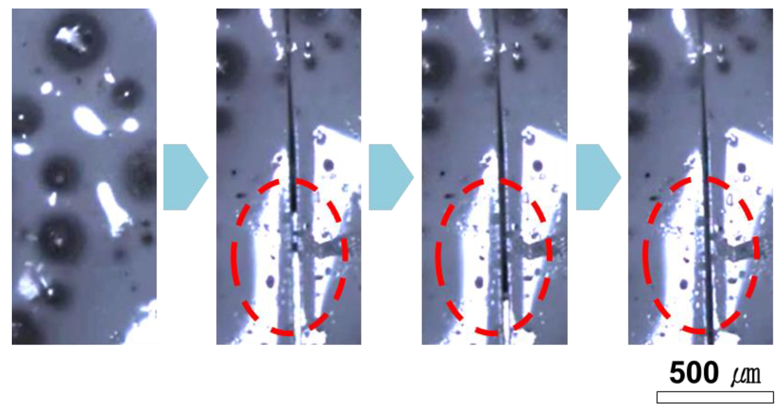 Polymers 14 02013 g008