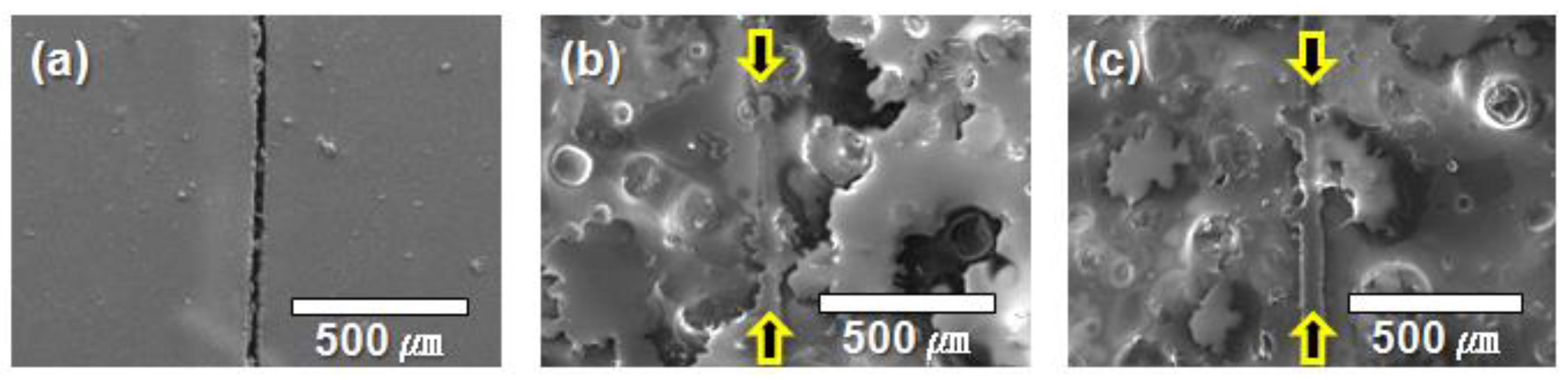 Polymers 14 02013 g009