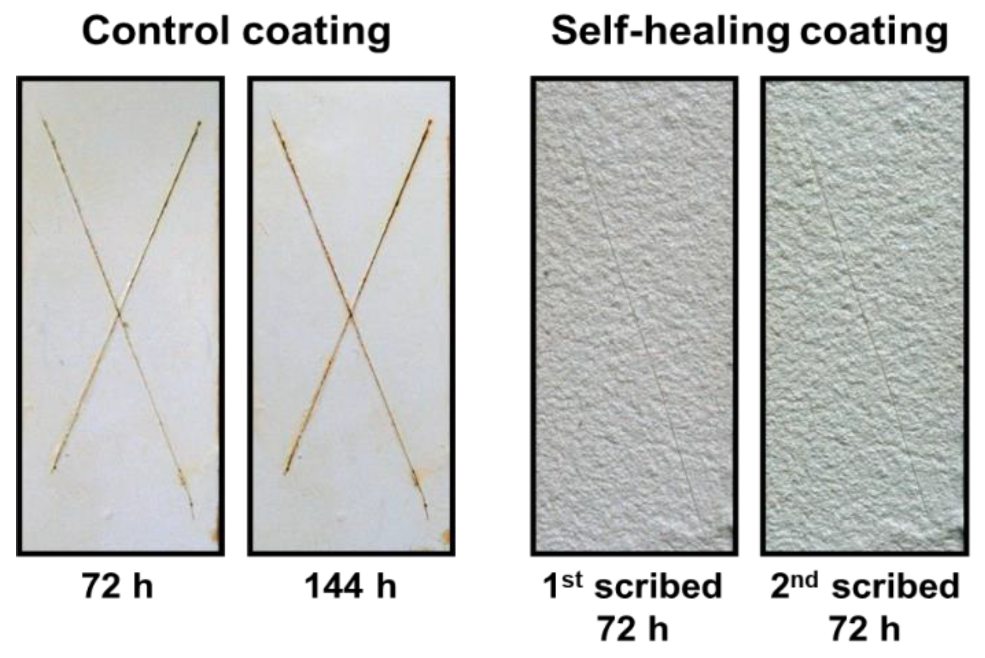 Polymers 14 02013 g010
