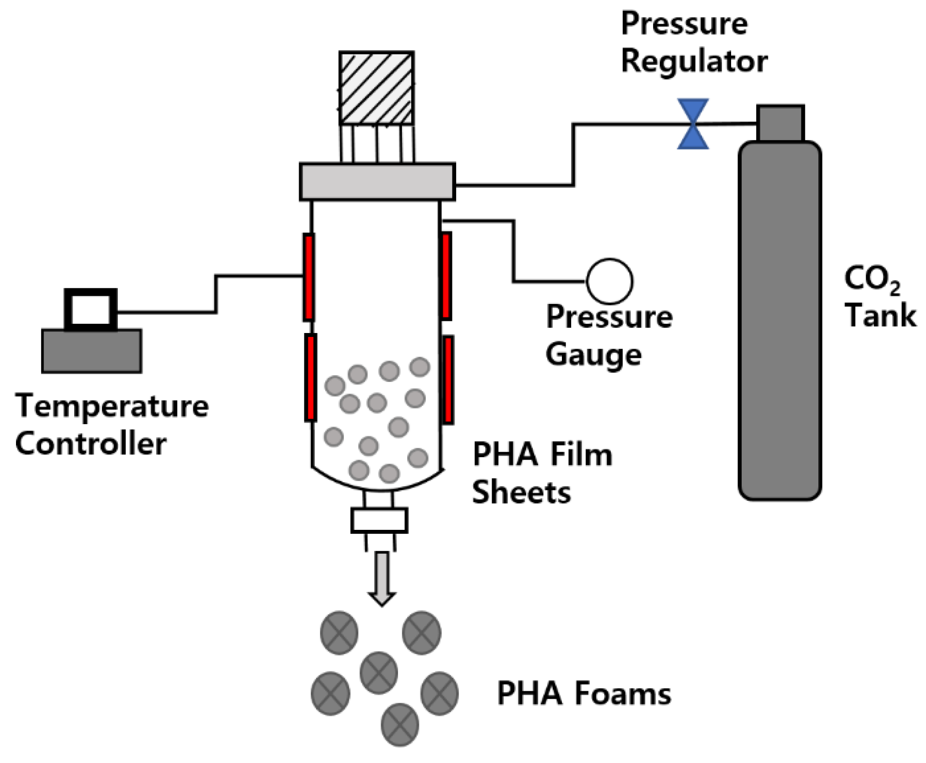 Polymers 14 02018 g002