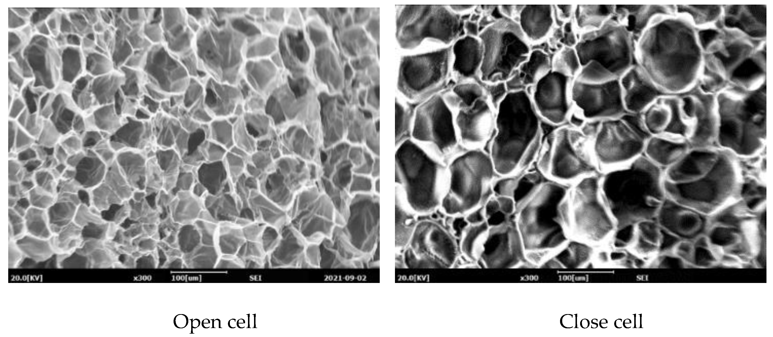 Polymers 14 02018 g003b