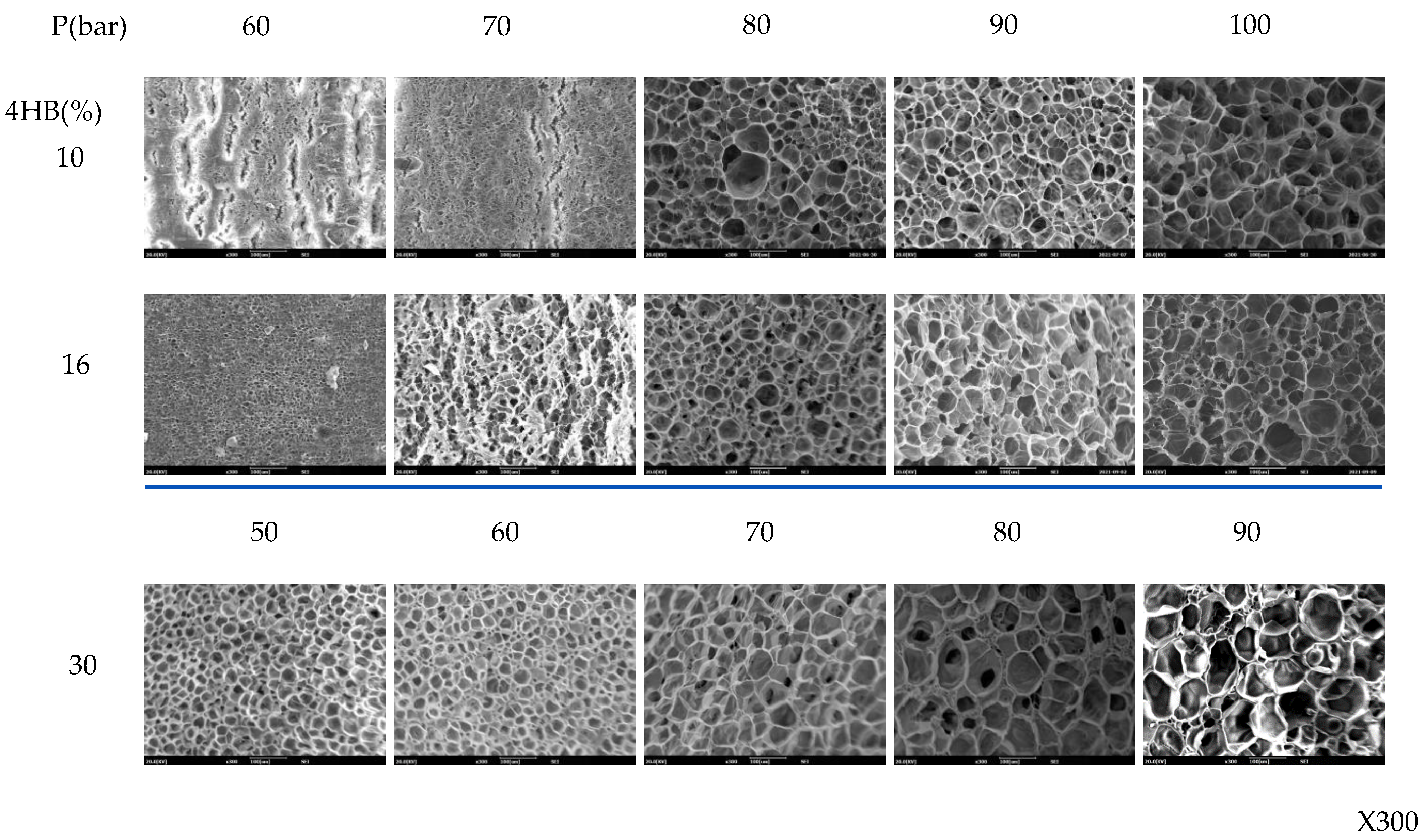 Polymers 14 02018 g007