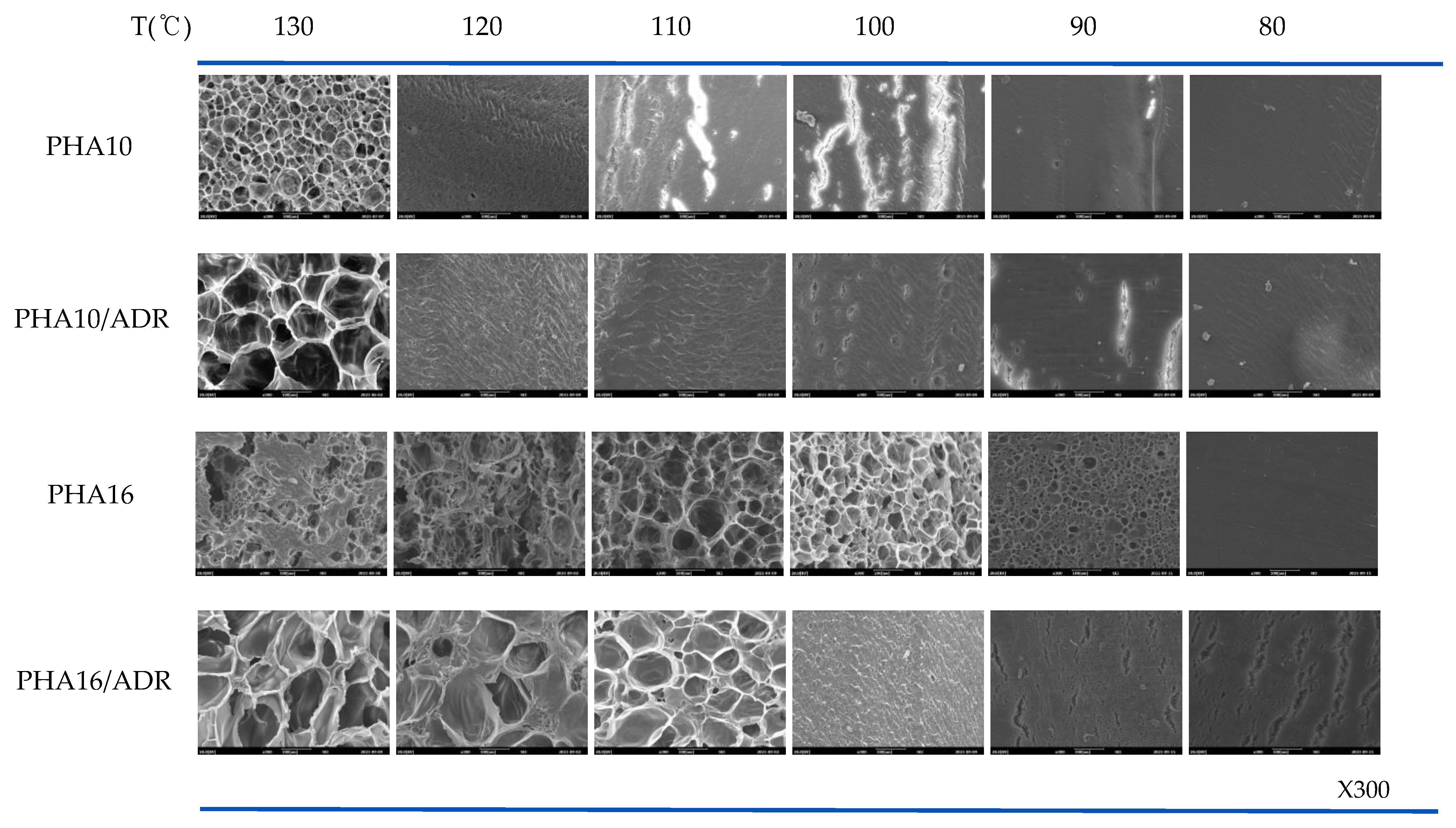 Polymers 14 02018 g009