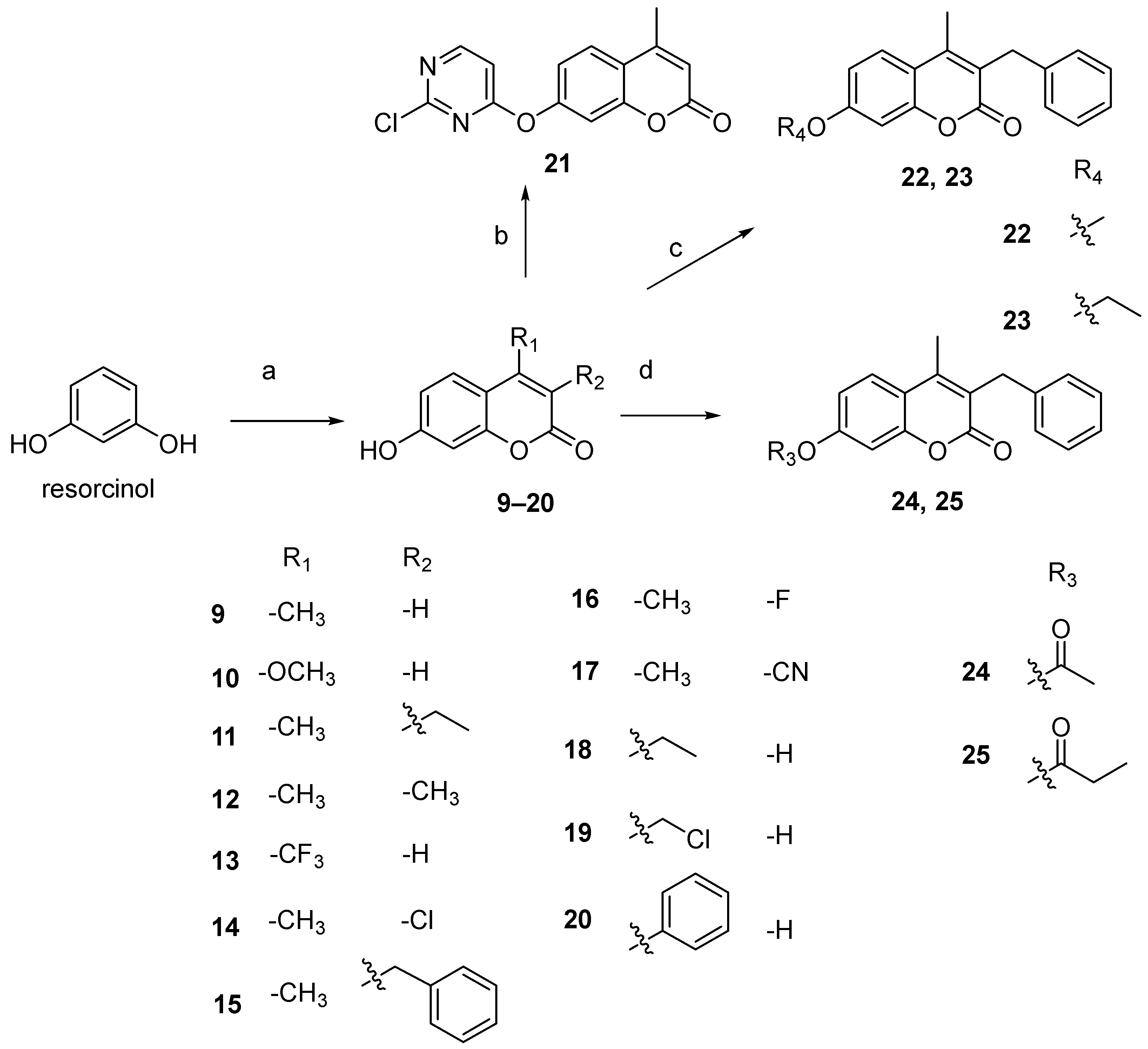 Polymers 14 02021 sch002 Polymers 14 02021 sch002