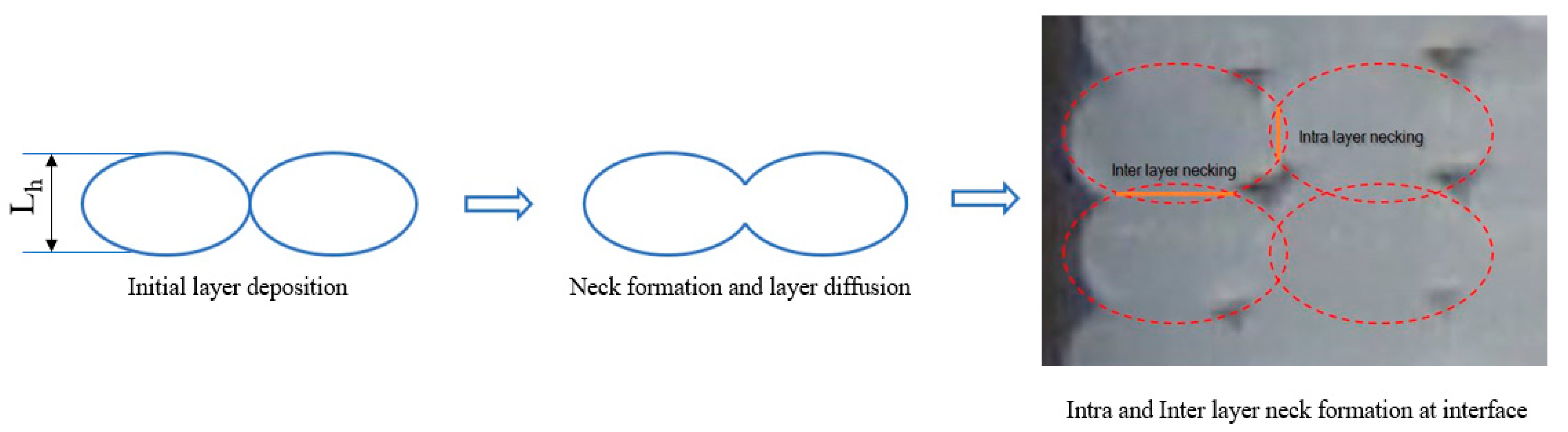 Polymers 14 02022 g006 550