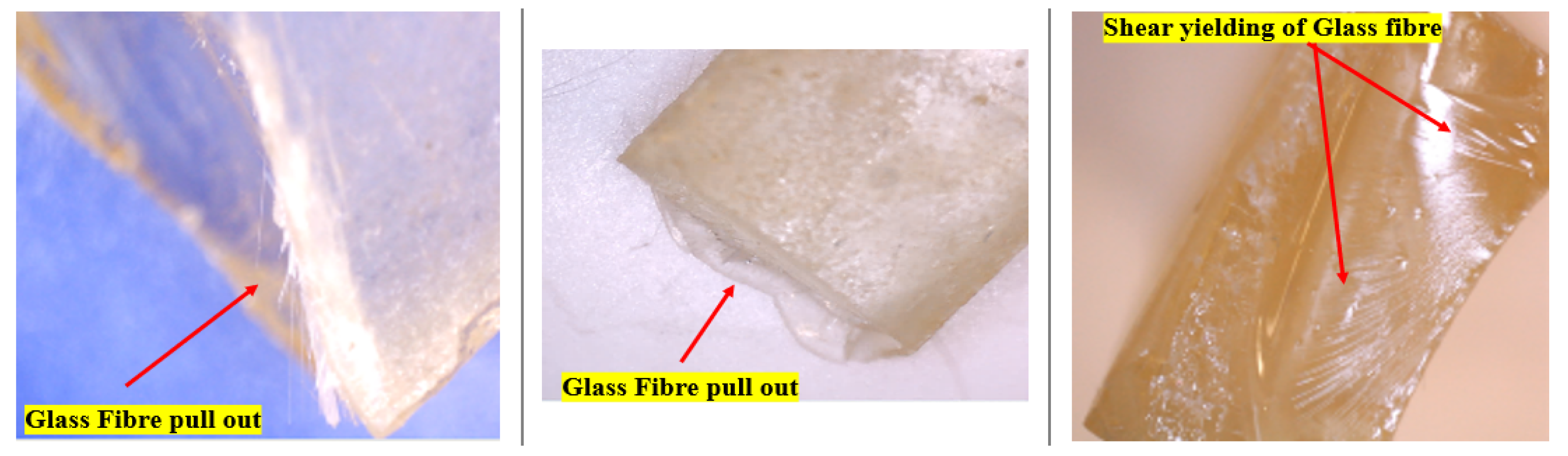 Polymers 14 02024 g020 550