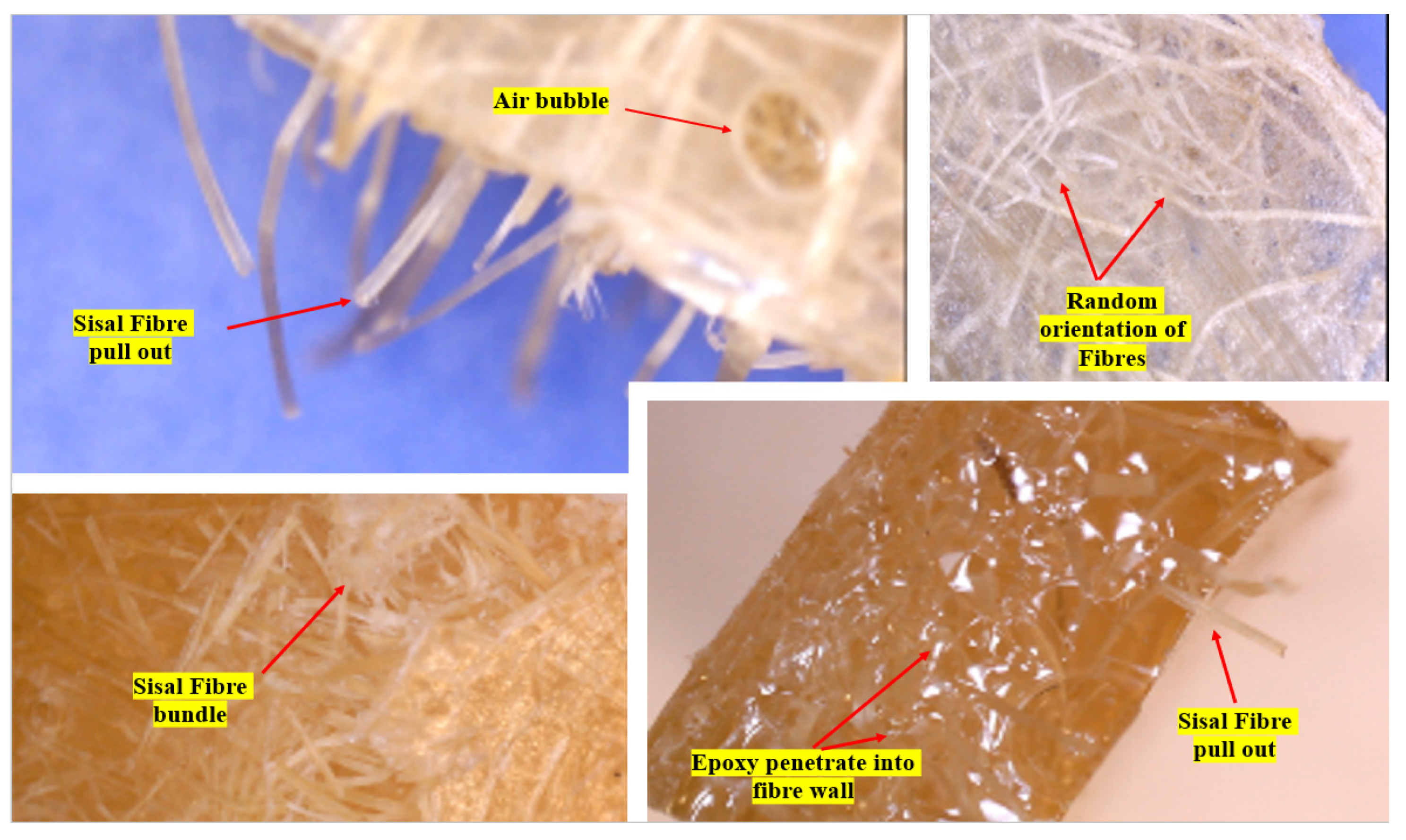 Polymers 14 02024 g021 550