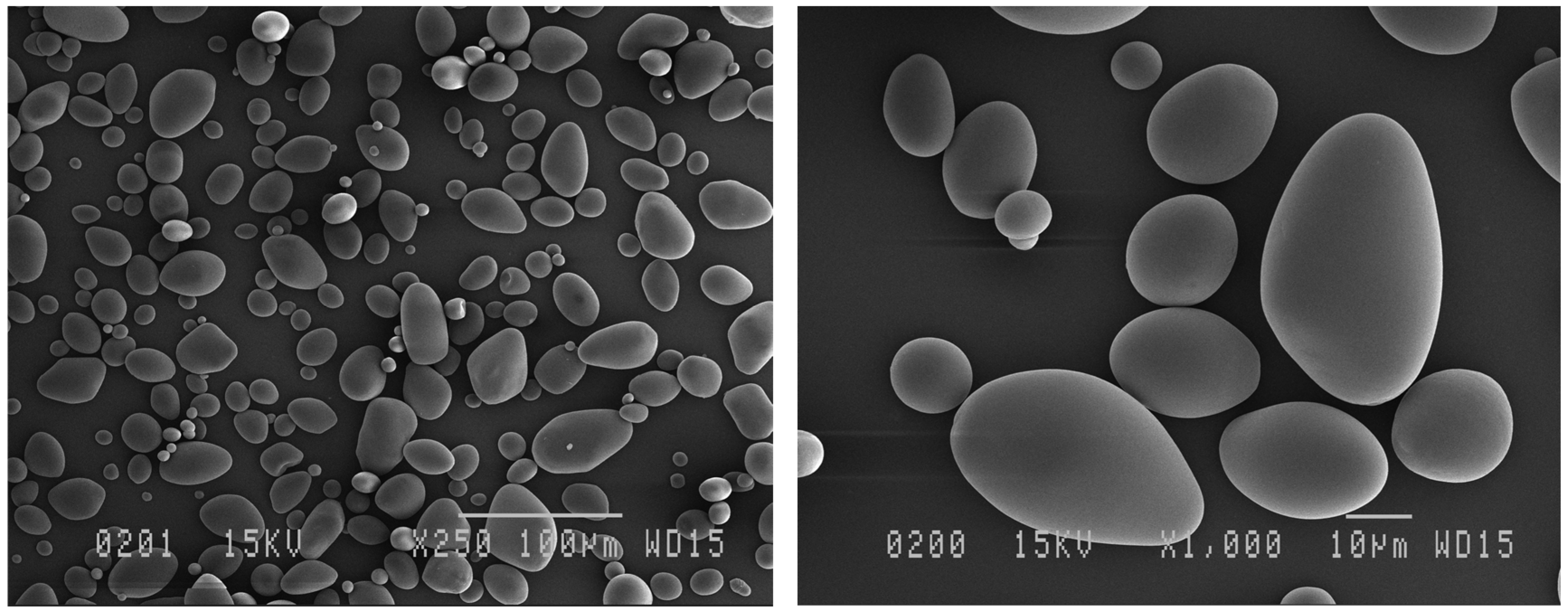 Polymers 14 02027 g002