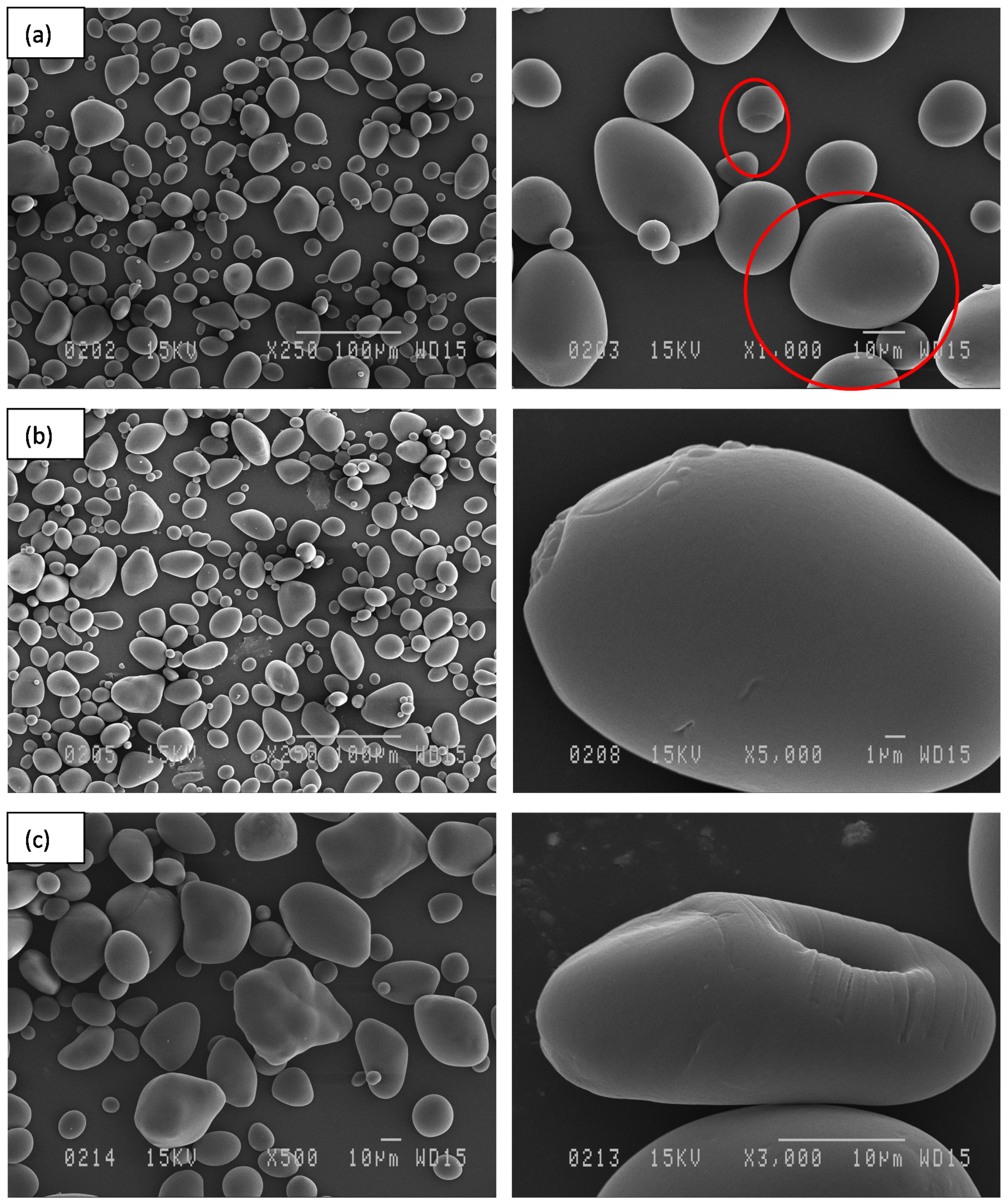 Polymers 14 02027 g003