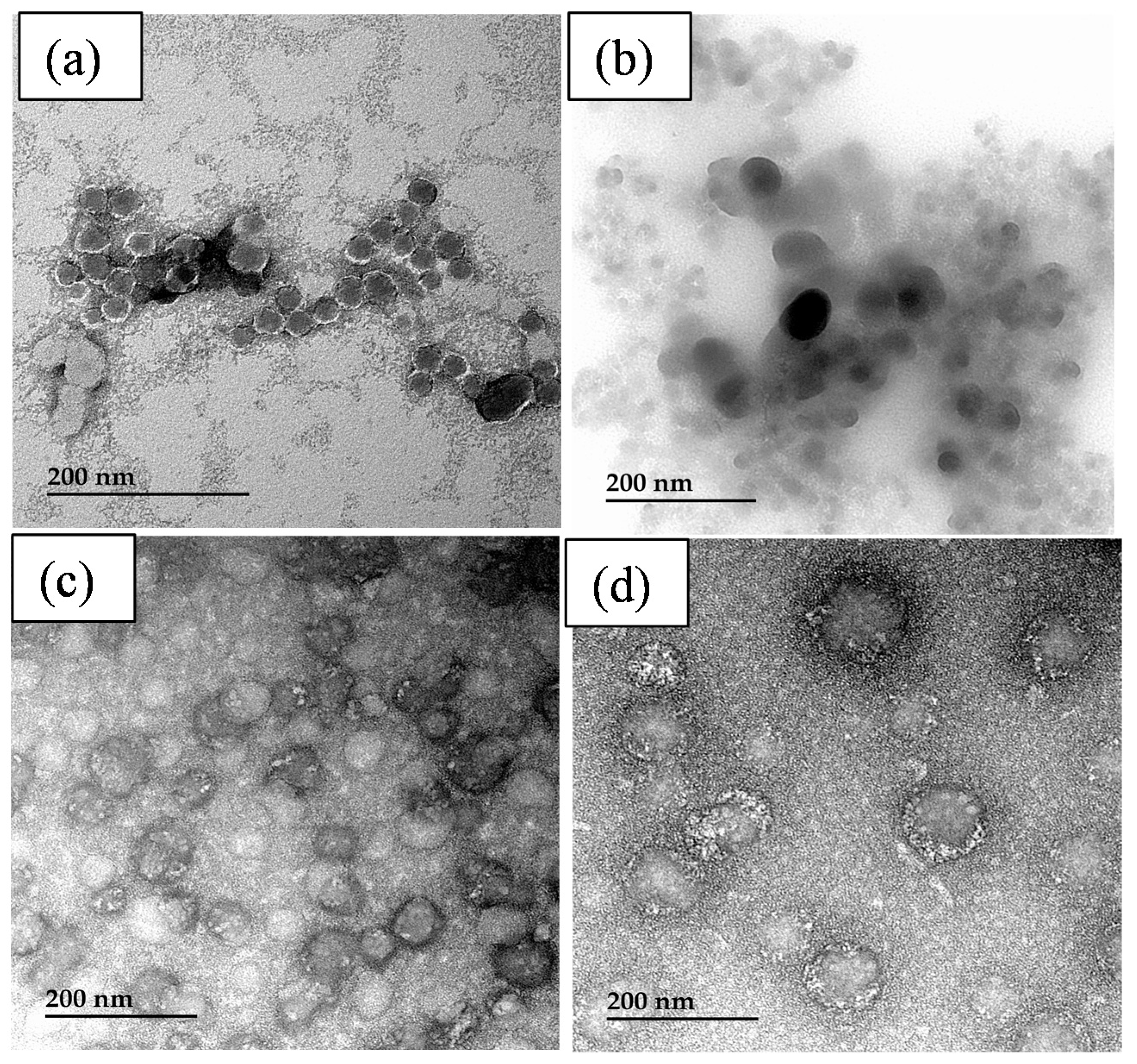 Polymers 14 02027 g011