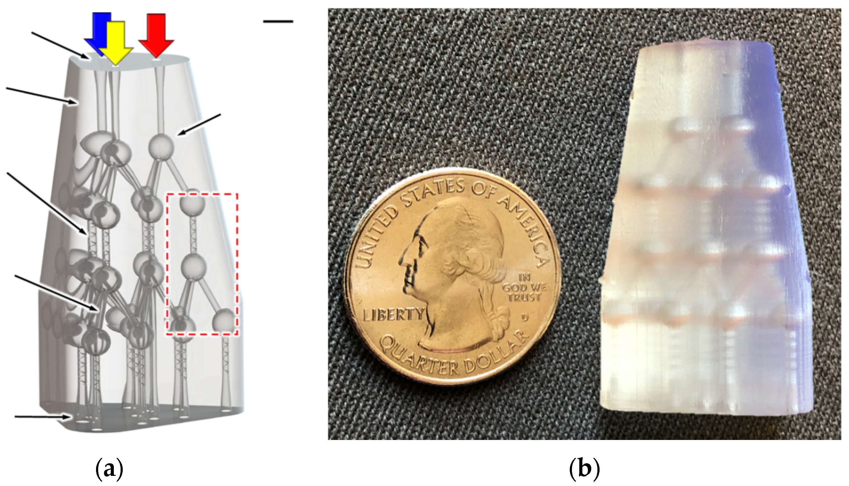 Polymers 14 02028 g008