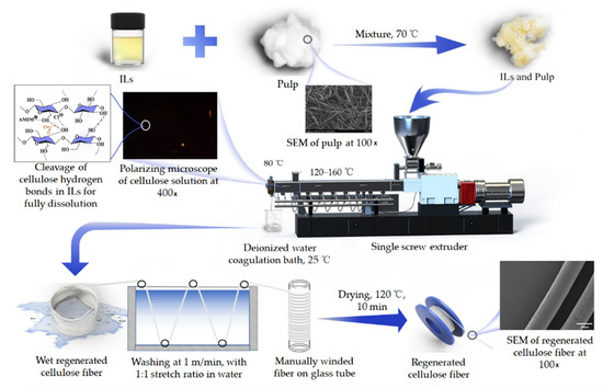 Strength Enhancement of Regenerated Cellulose Fibers by Adjustment of