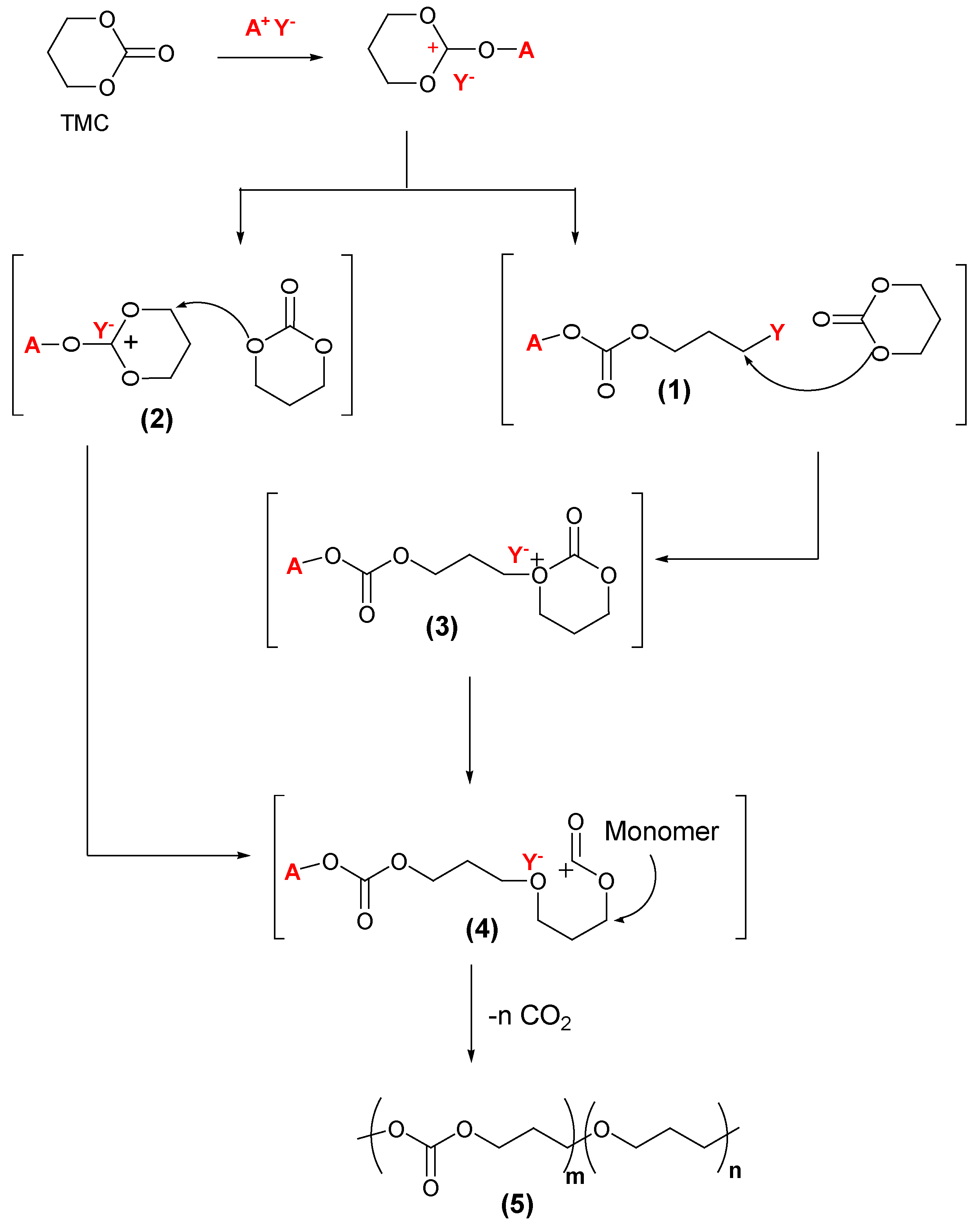 Polymers 14 02031 sch001 550