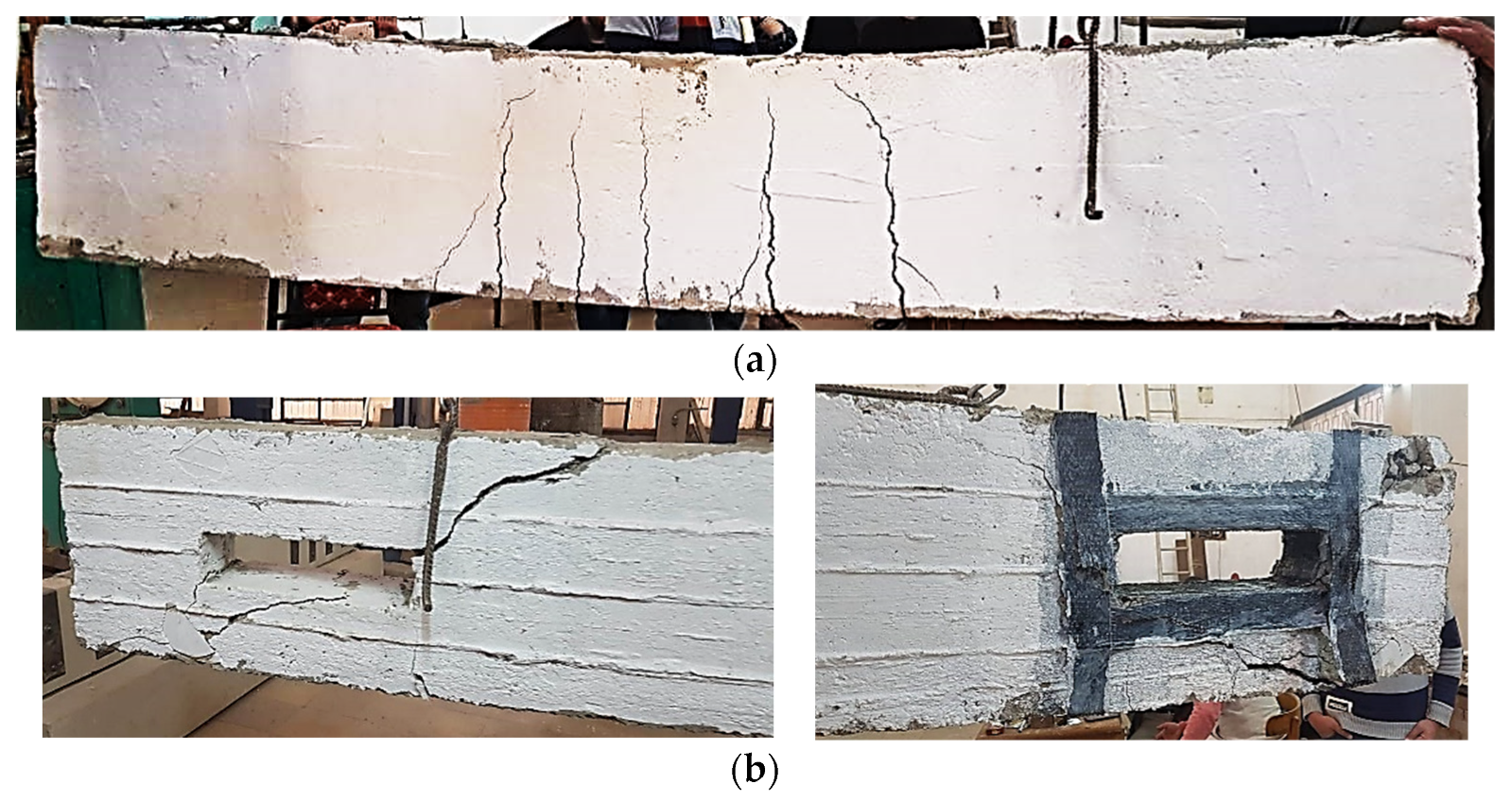 Polymers 14 02034 g008a 550