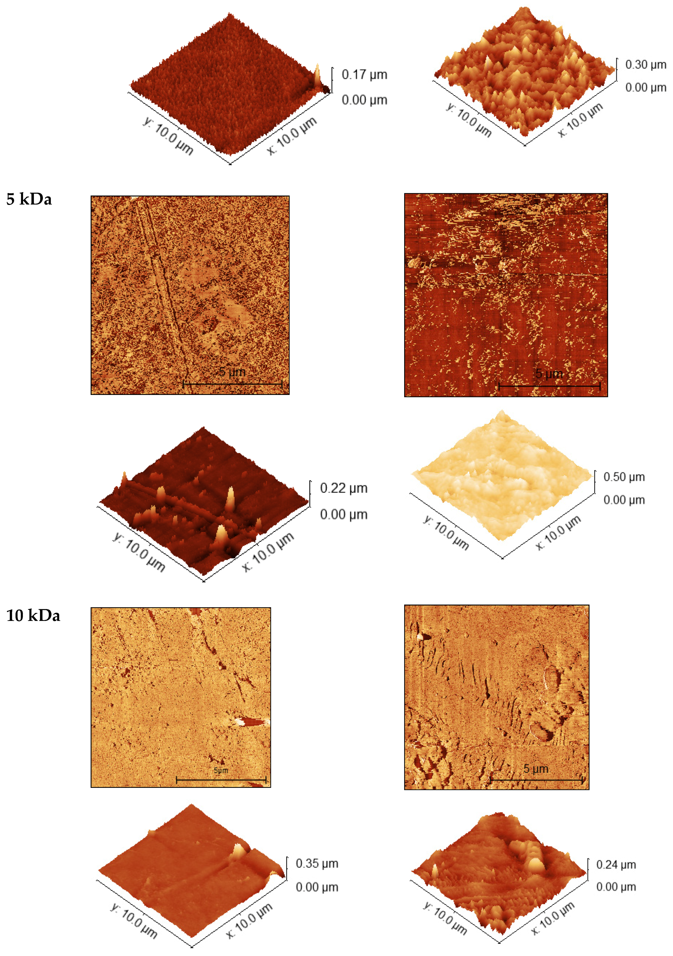 Polymers 14 02035 g002b