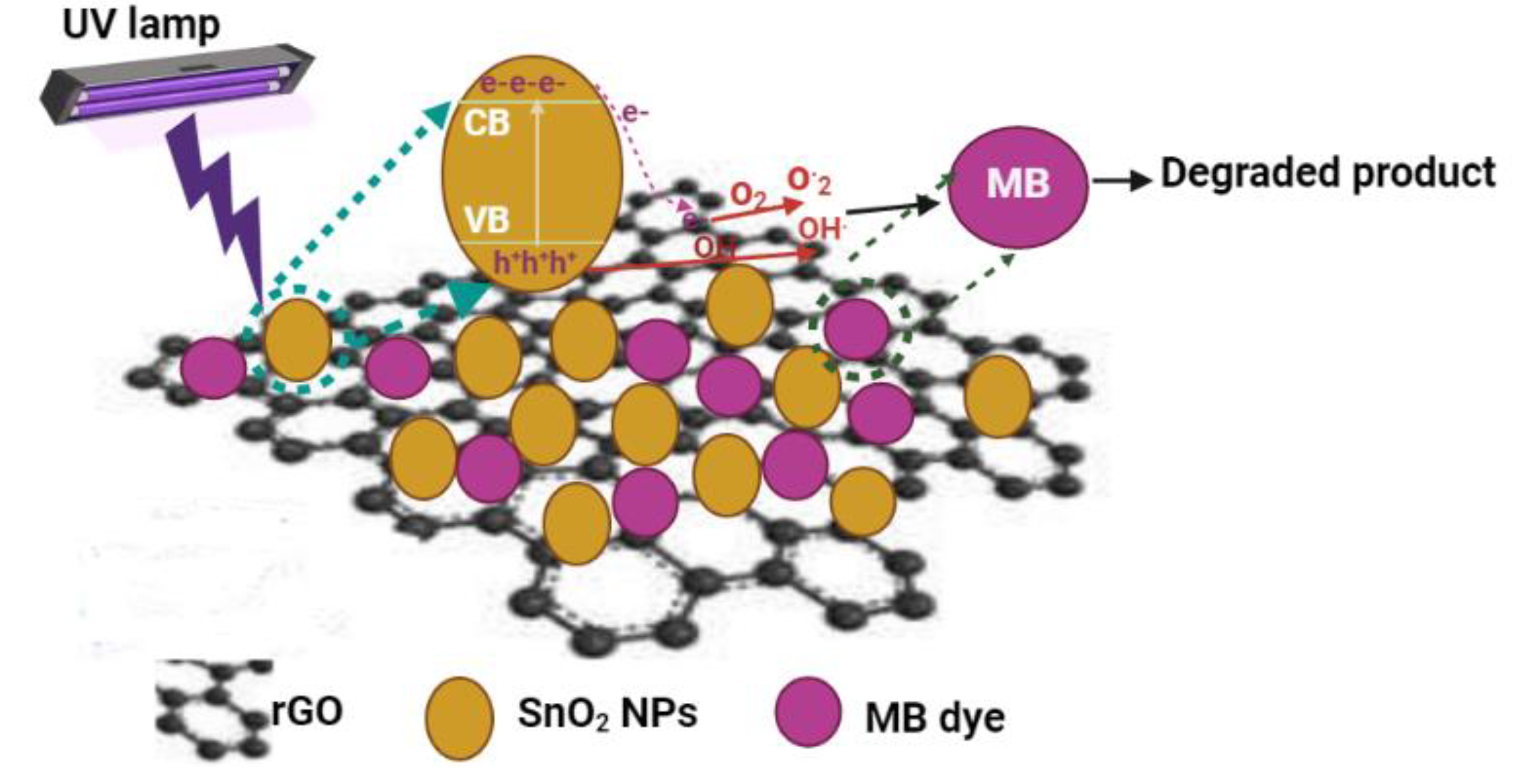 Polymers 14 02036 g012
