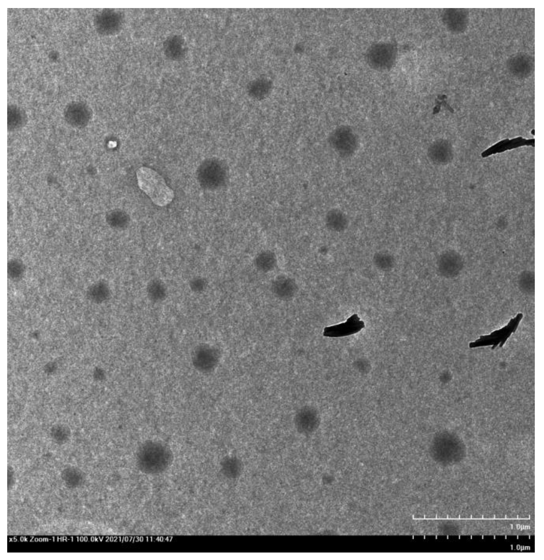 Polymers 14 02037 g007 550
