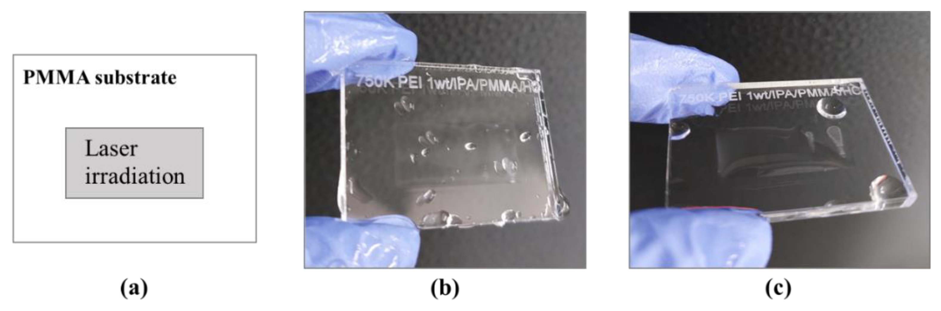 Polymers 14 02041 g007