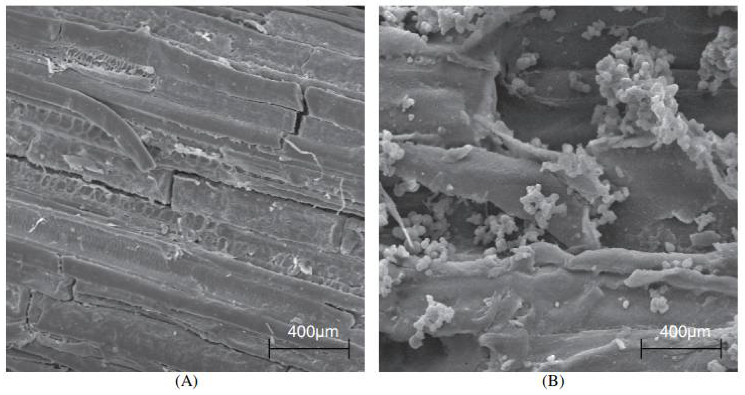 Polymers 14 02043 g007 Polymers 14 02043 g007