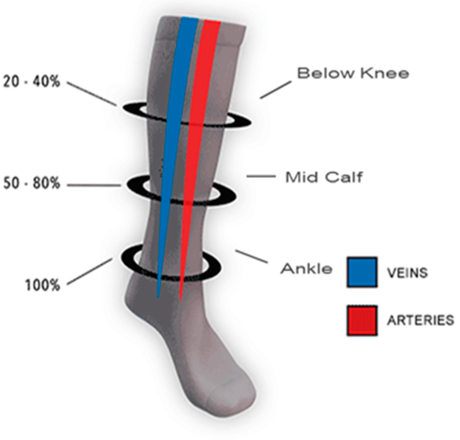 Polymers 14 02045 g003