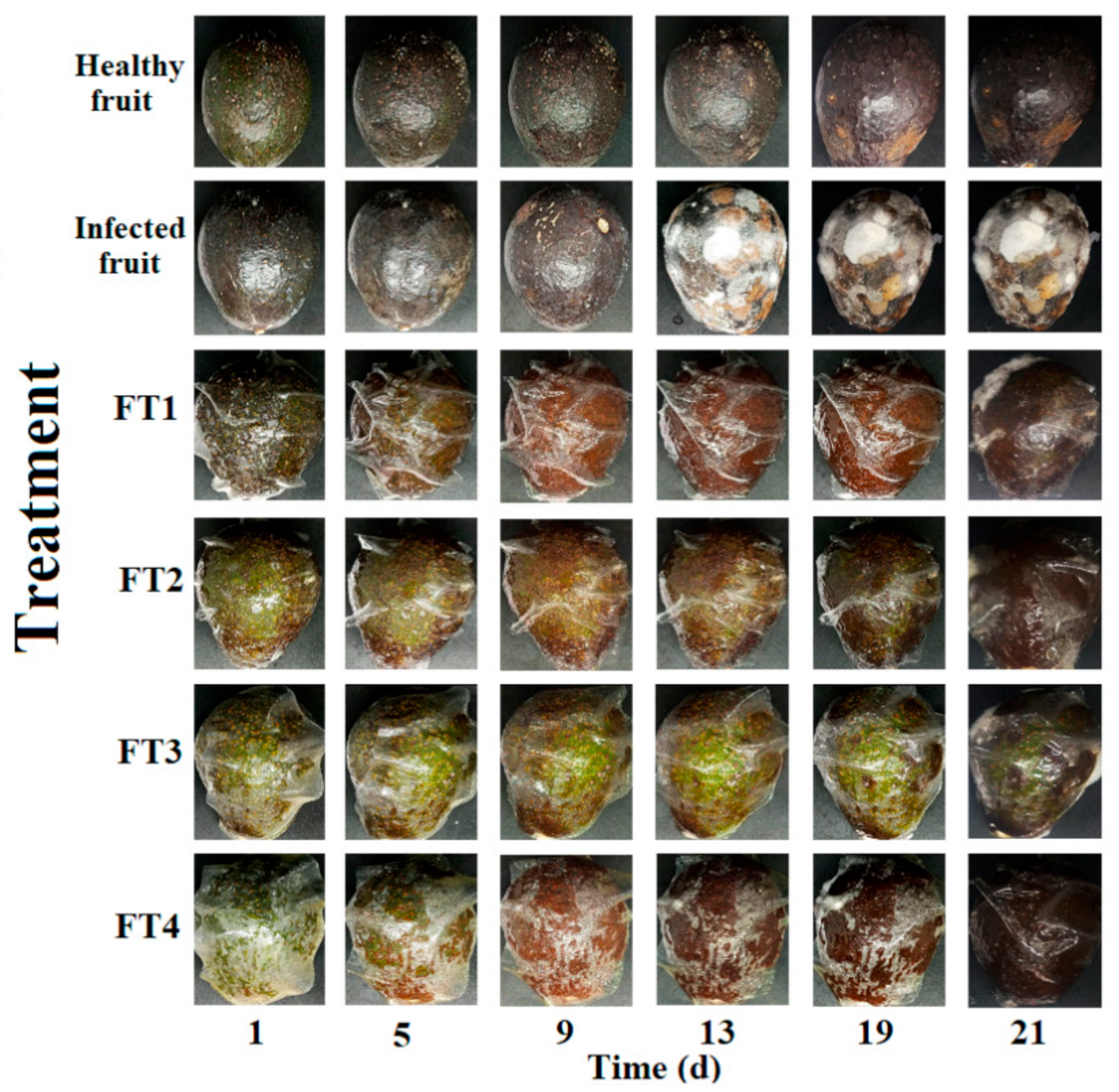 Polymers 14 02050 g002 550