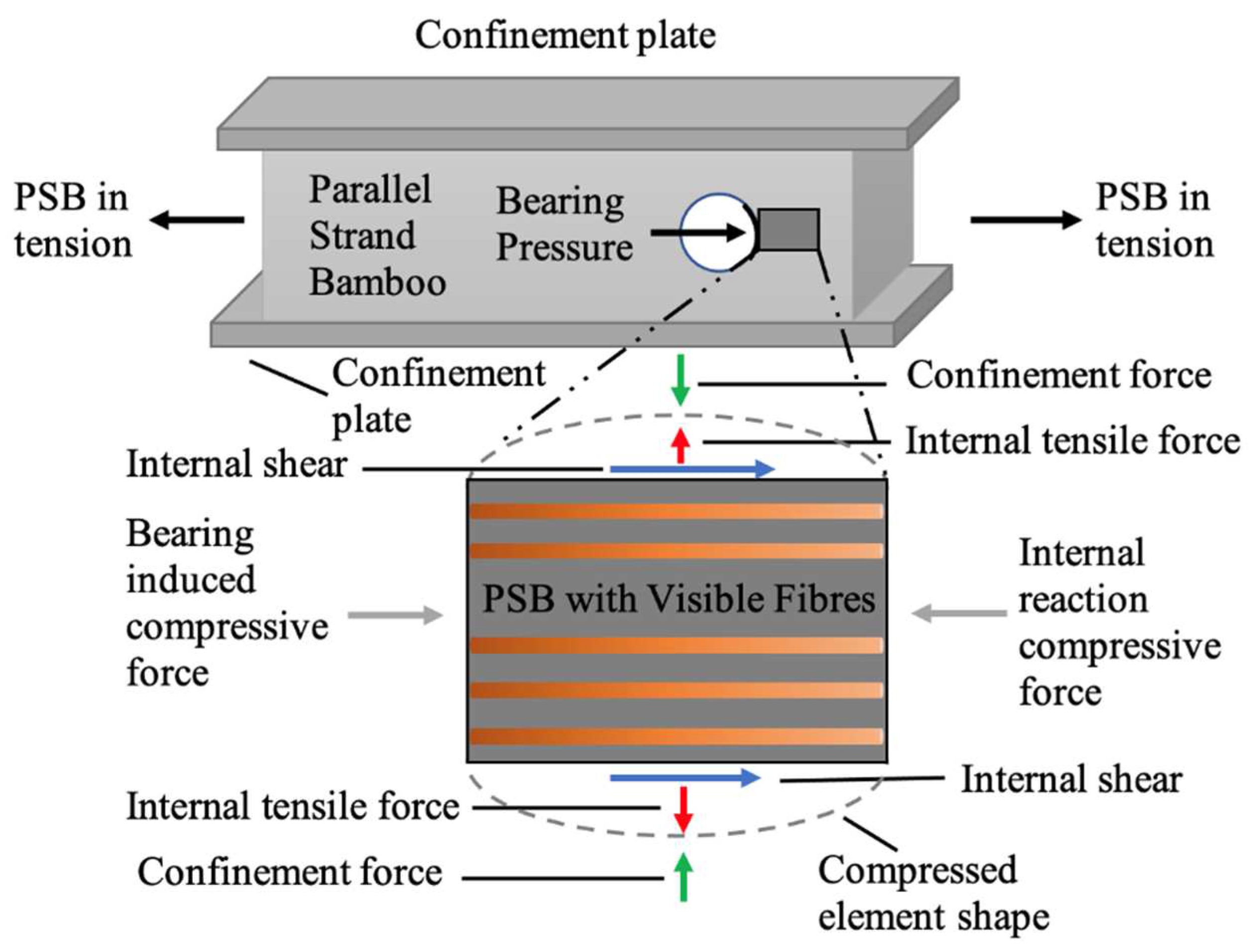 Polymers 14 02051 g003