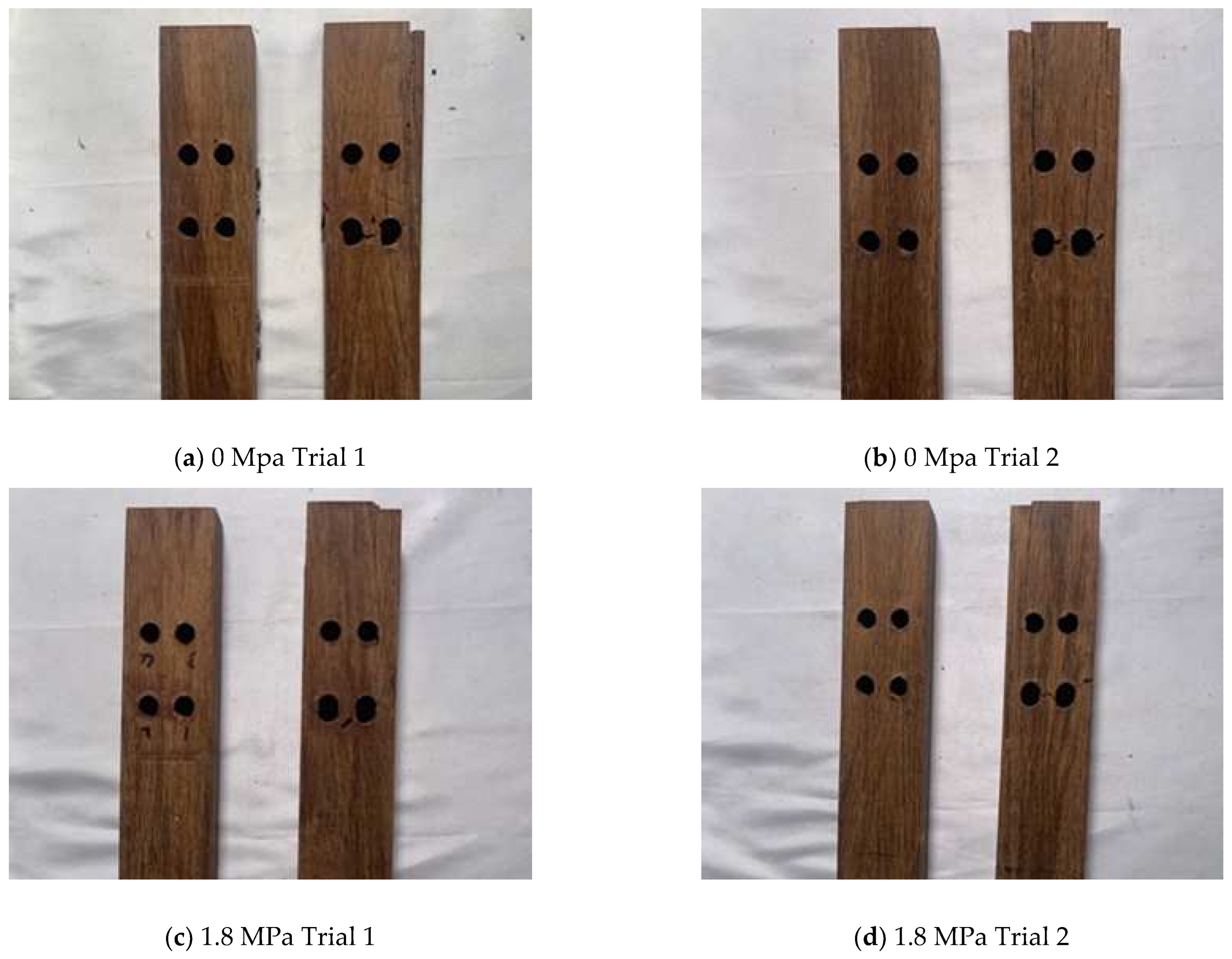 Polymers 14 02051 g012a