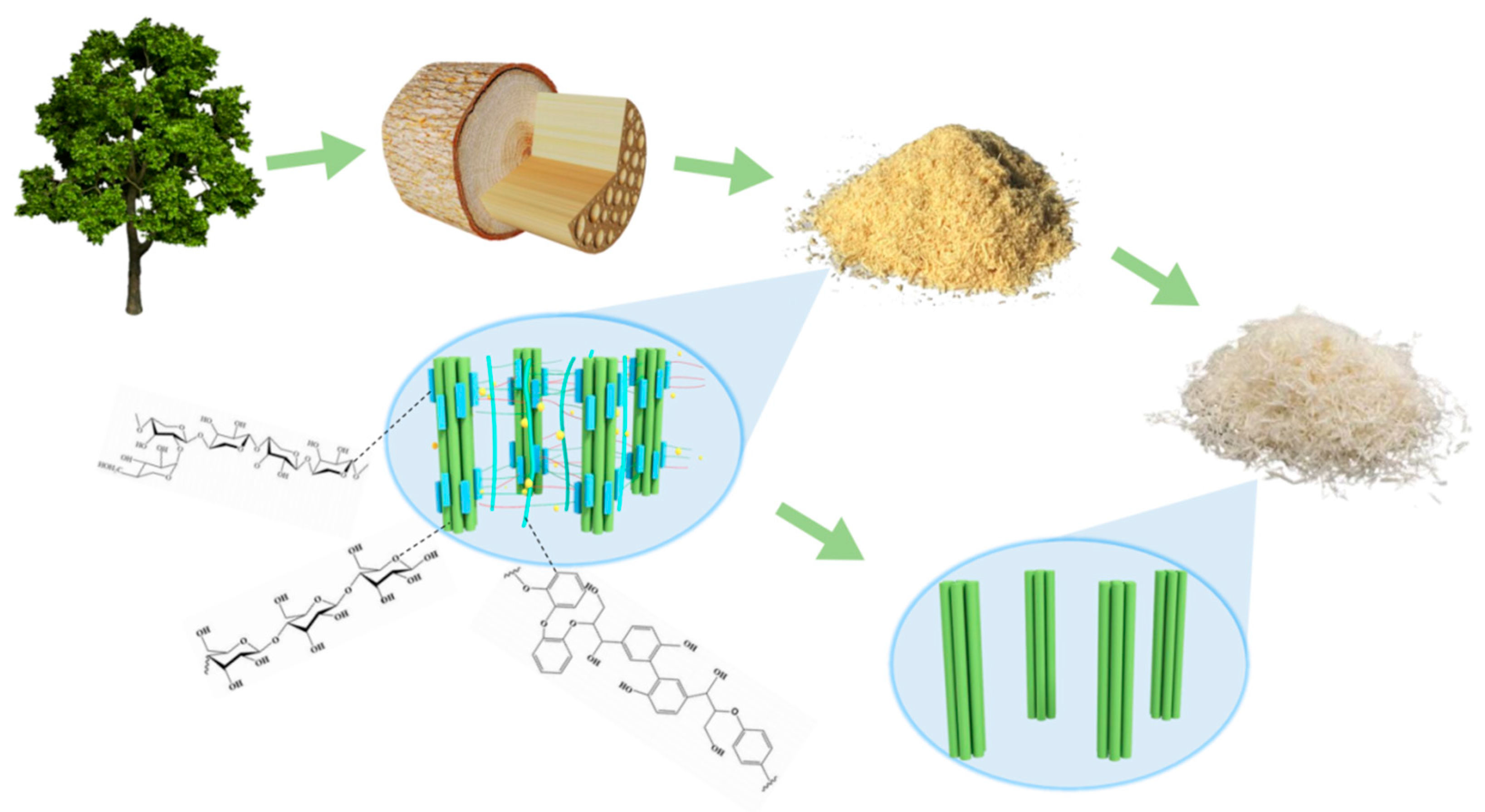 Polymers 14 02053 g002 Polymers 14 02053 g002