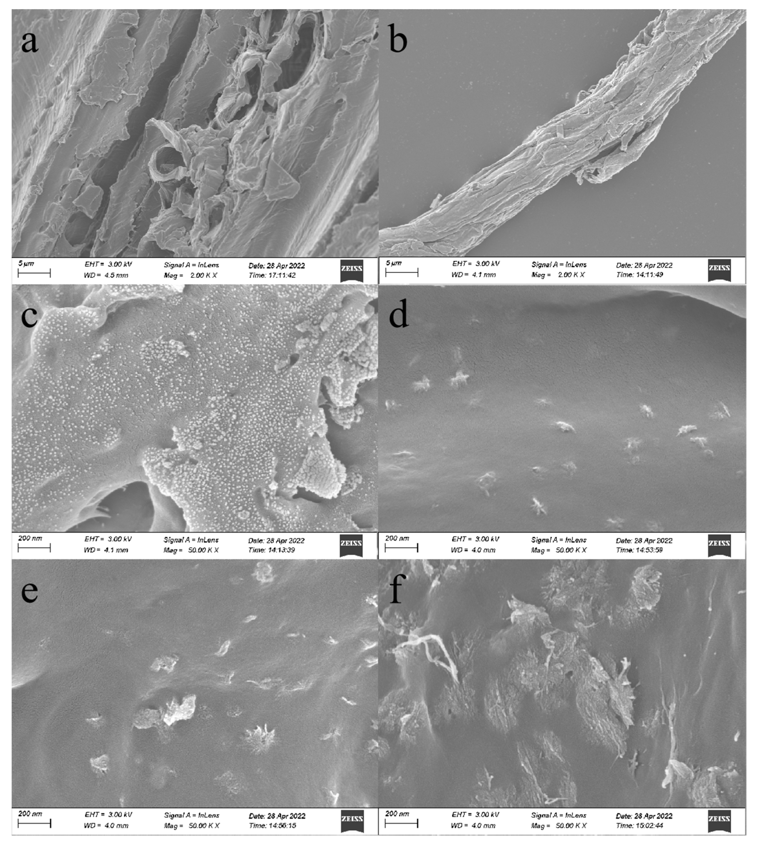 Polymers 14 02053 g003 Polymers 14 02053 g003