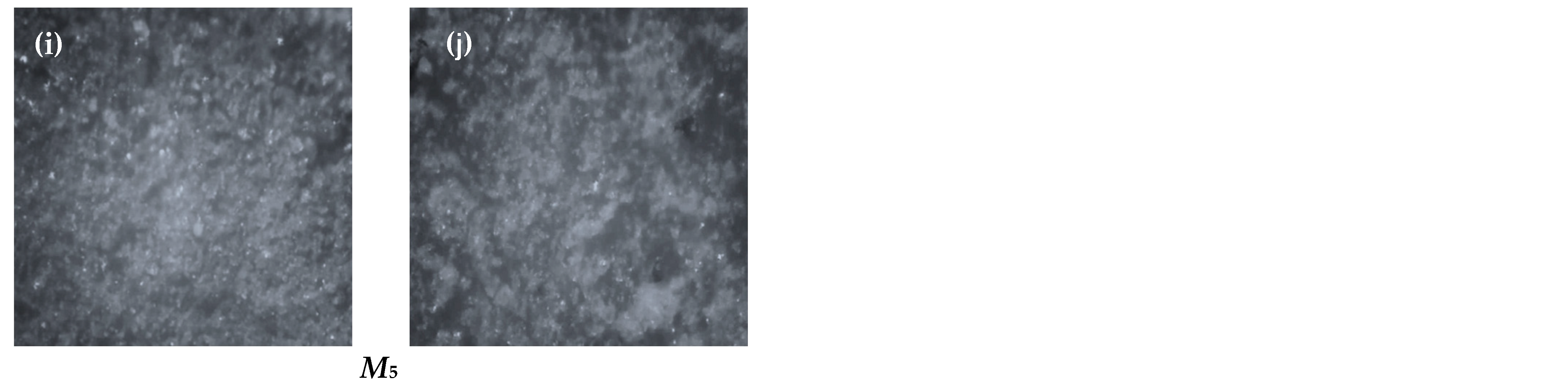 Polymers 14 02057 g011b 550