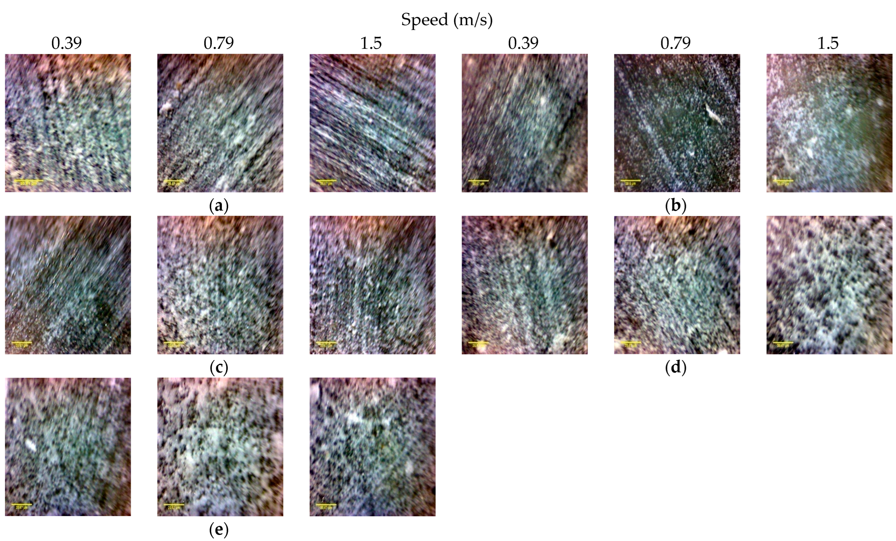 Polymers 14 02057 g012 550