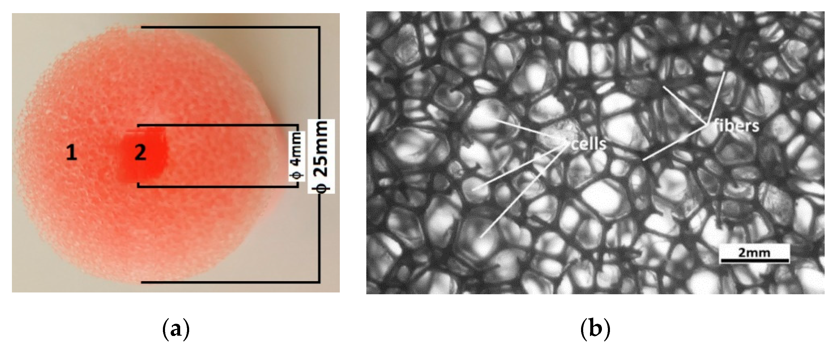 Polymers 14 02062 g001